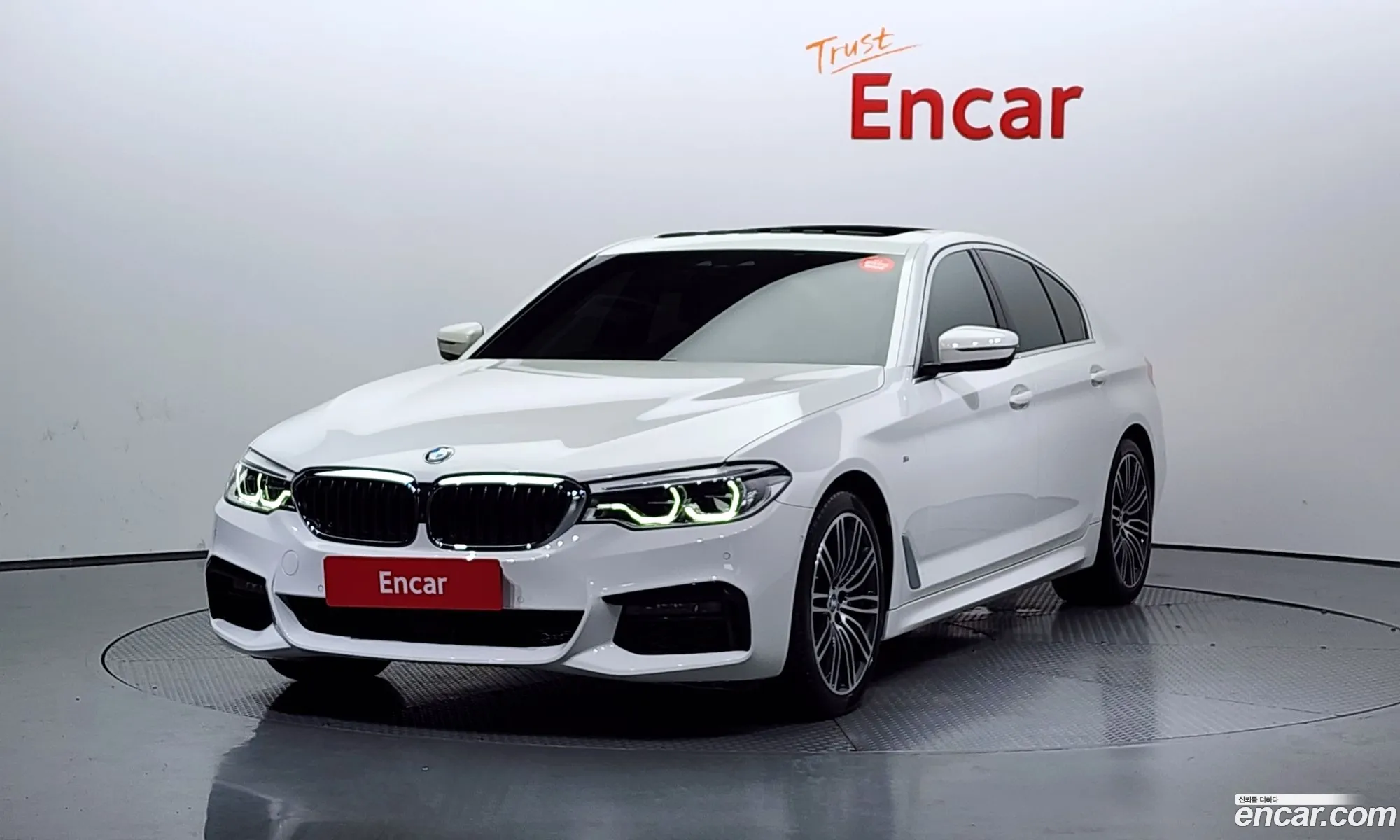 BMW 5Er Vii G30G31 530I xDrive M Sport Plus 2020 - фотография 15051065