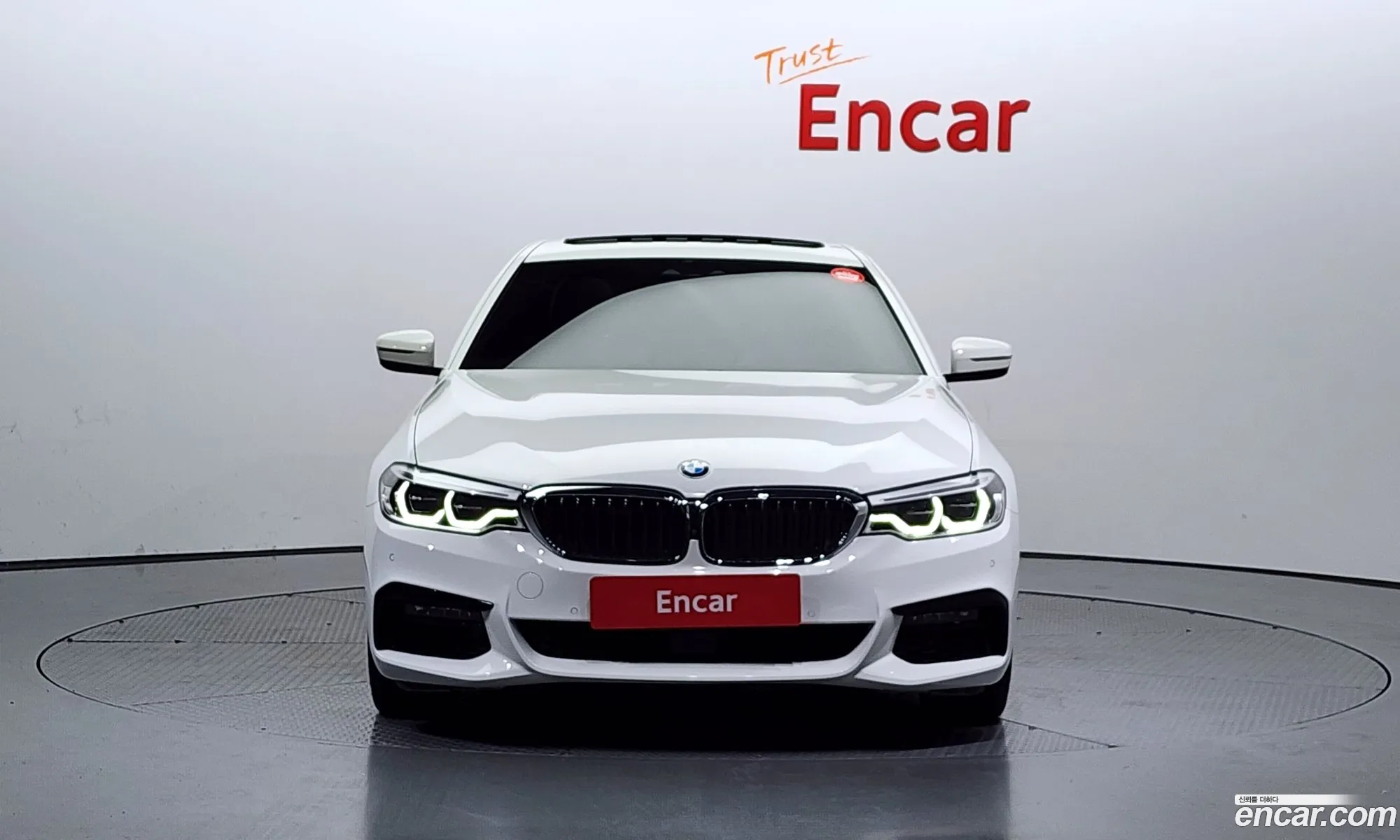 BMW 5Er Vii G30G31 530I xDrive M Sport Plus 2020 - фотография 15051067