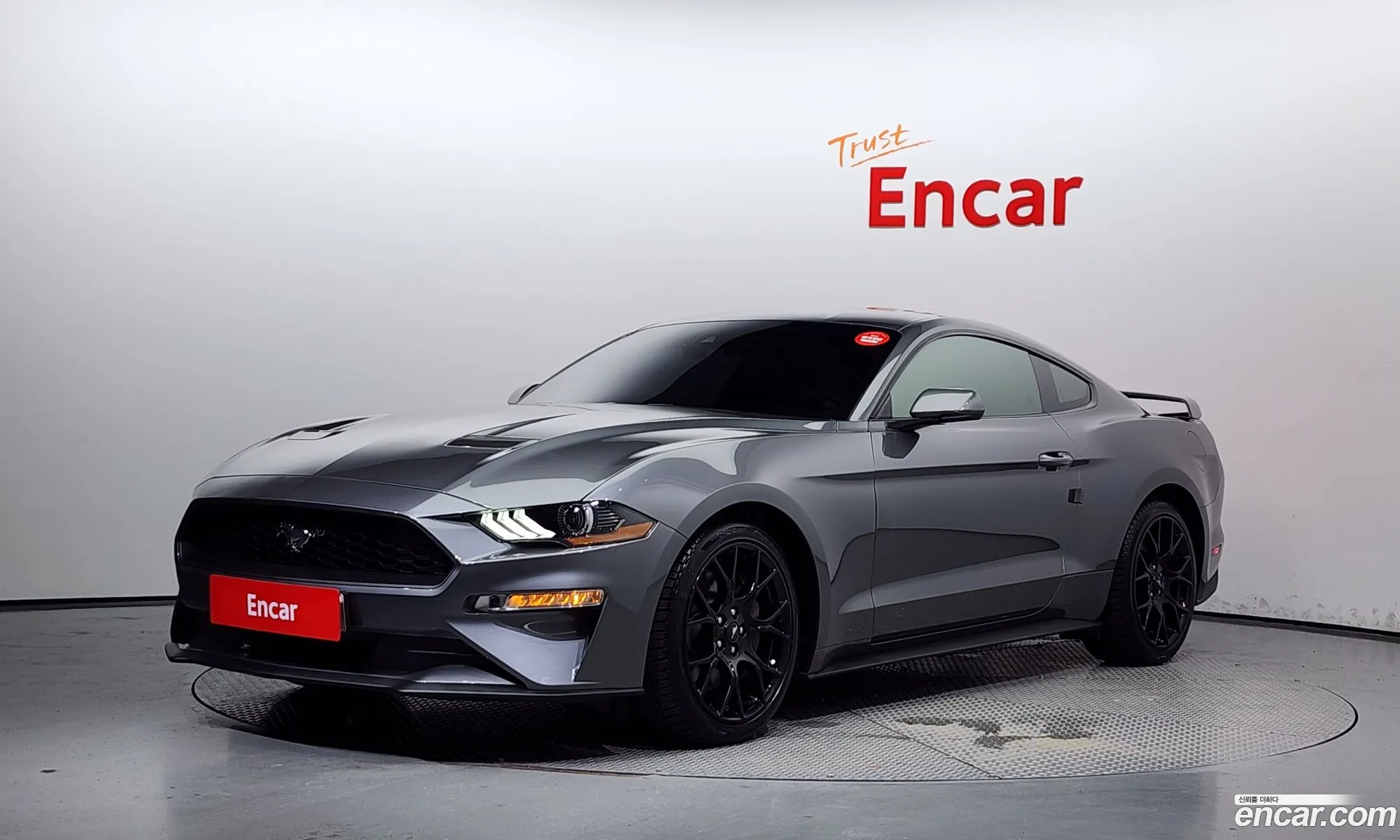 Ford Mustang Vi Coupe 2021 - фотография 15718211