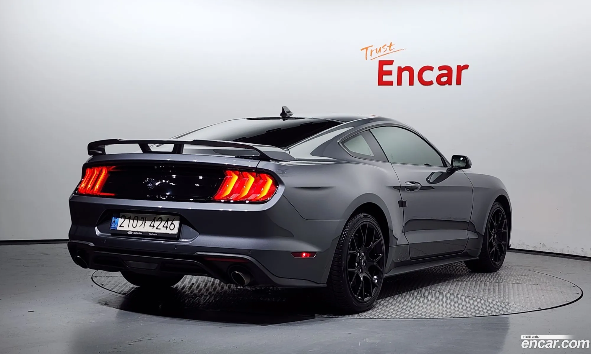 Ford Mustang Vi Coupe 2021 - фотография 15718212