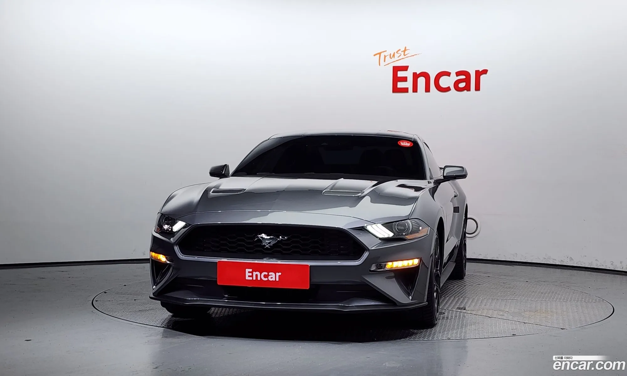 Ford Mustang Vi Coupe 2021 - фотография 15718213
