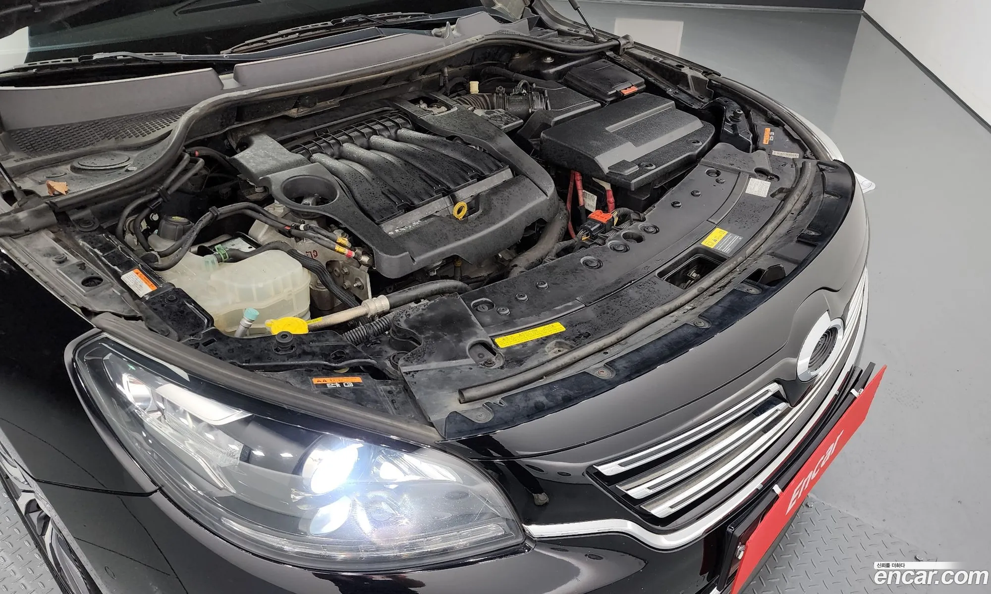 Renault Samsung Sm7 Lpli 20 Lpe For The Disabled 2017 - фотография 1657505