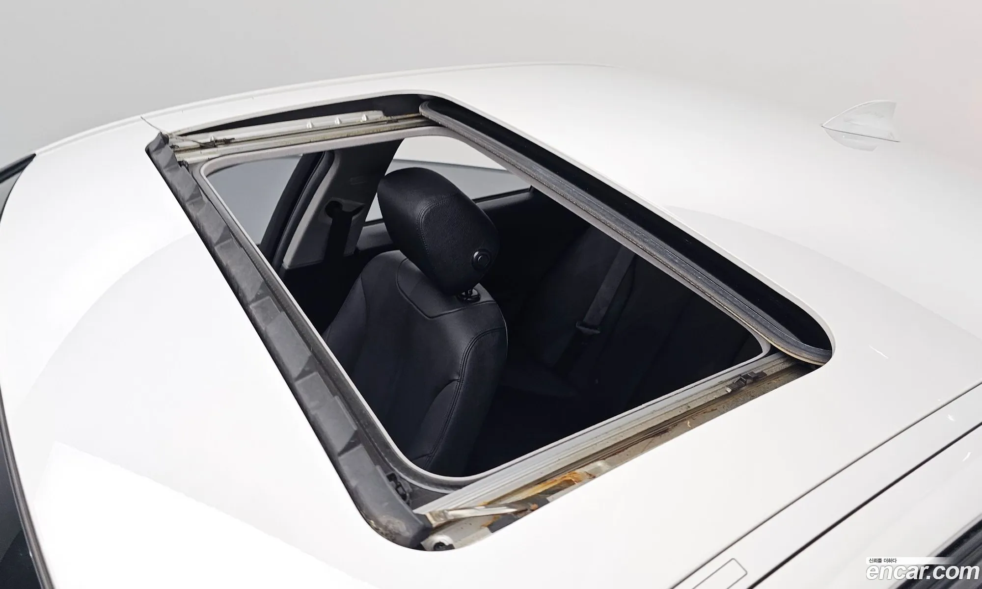 Korex Auto Trade - фотография 15104875