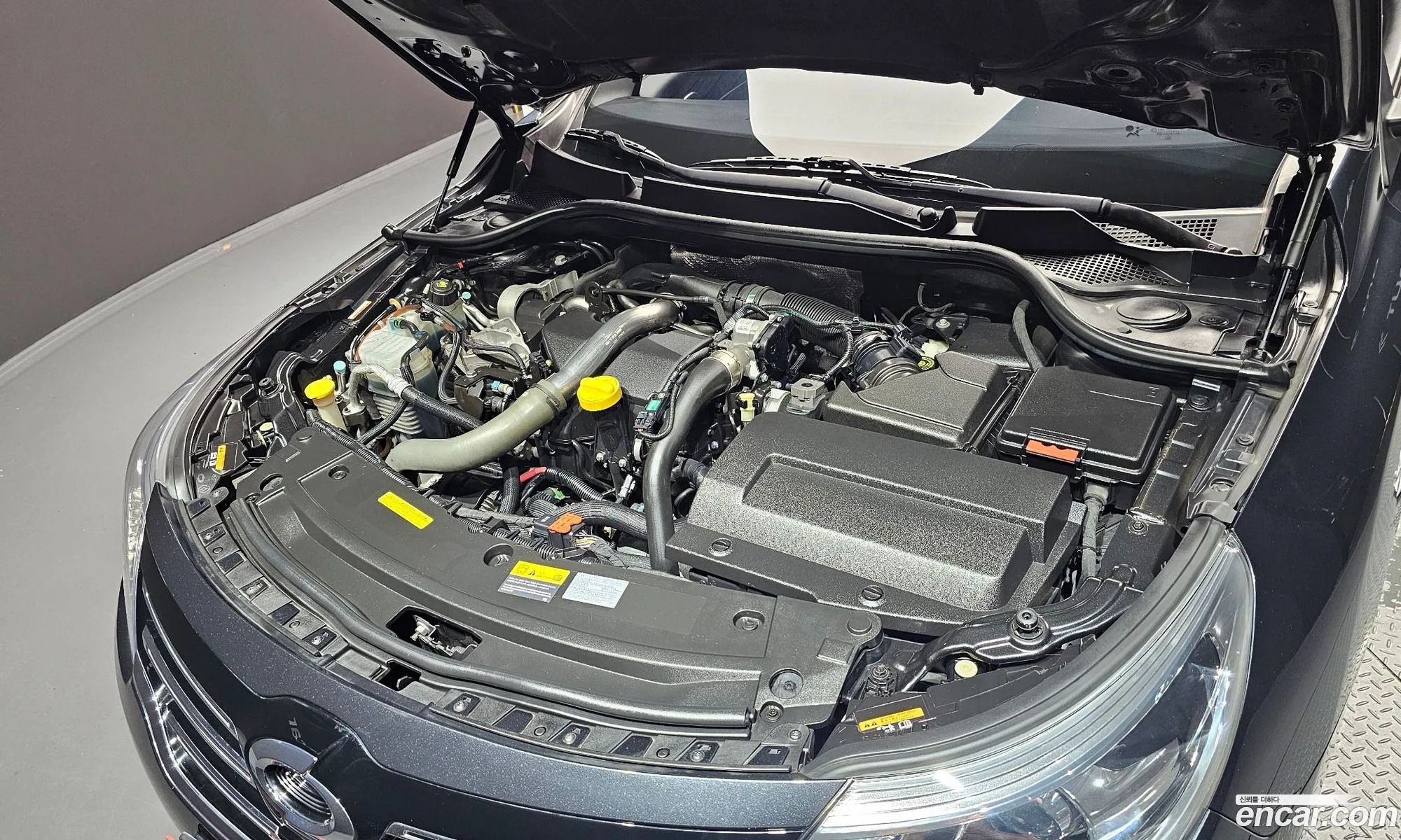 Renault Samsung Sm5 Diesel D Premium 2015 - фотография 1614696