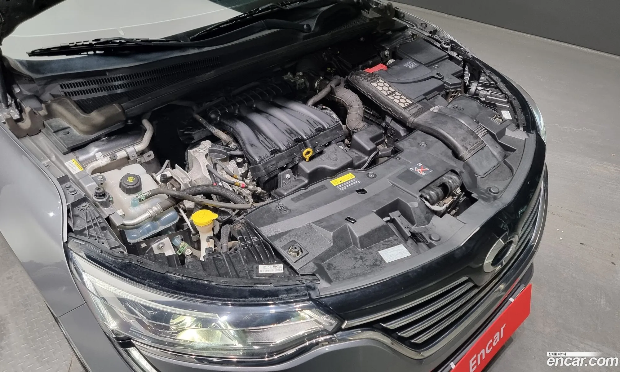 Renault Samsung Sm6 20 Lpe Re For The Disabled 2016 - фотография 1657221