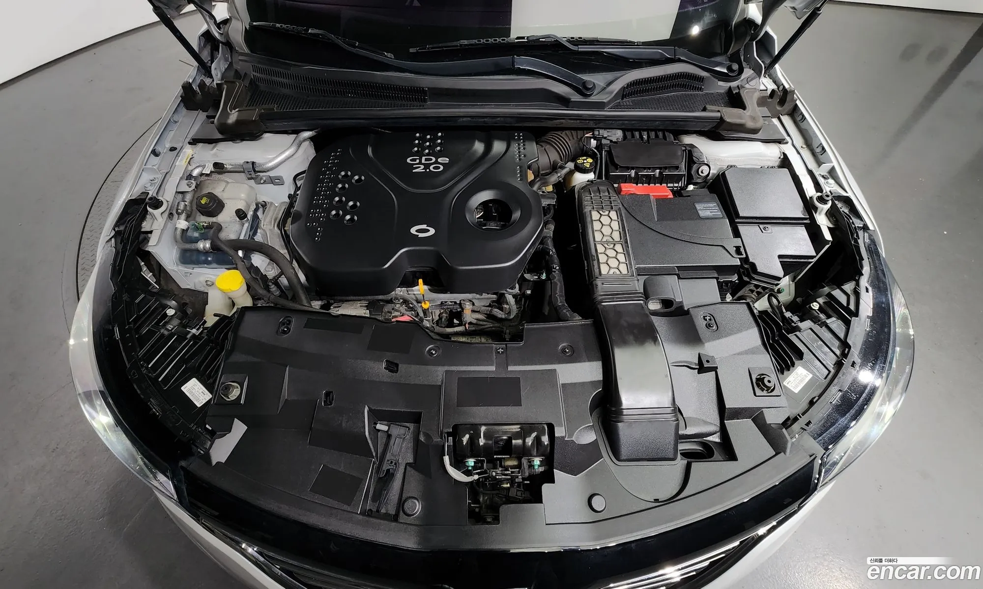 Renault Samsung Sm6 20Gde Le 2016 - фотография 1657197