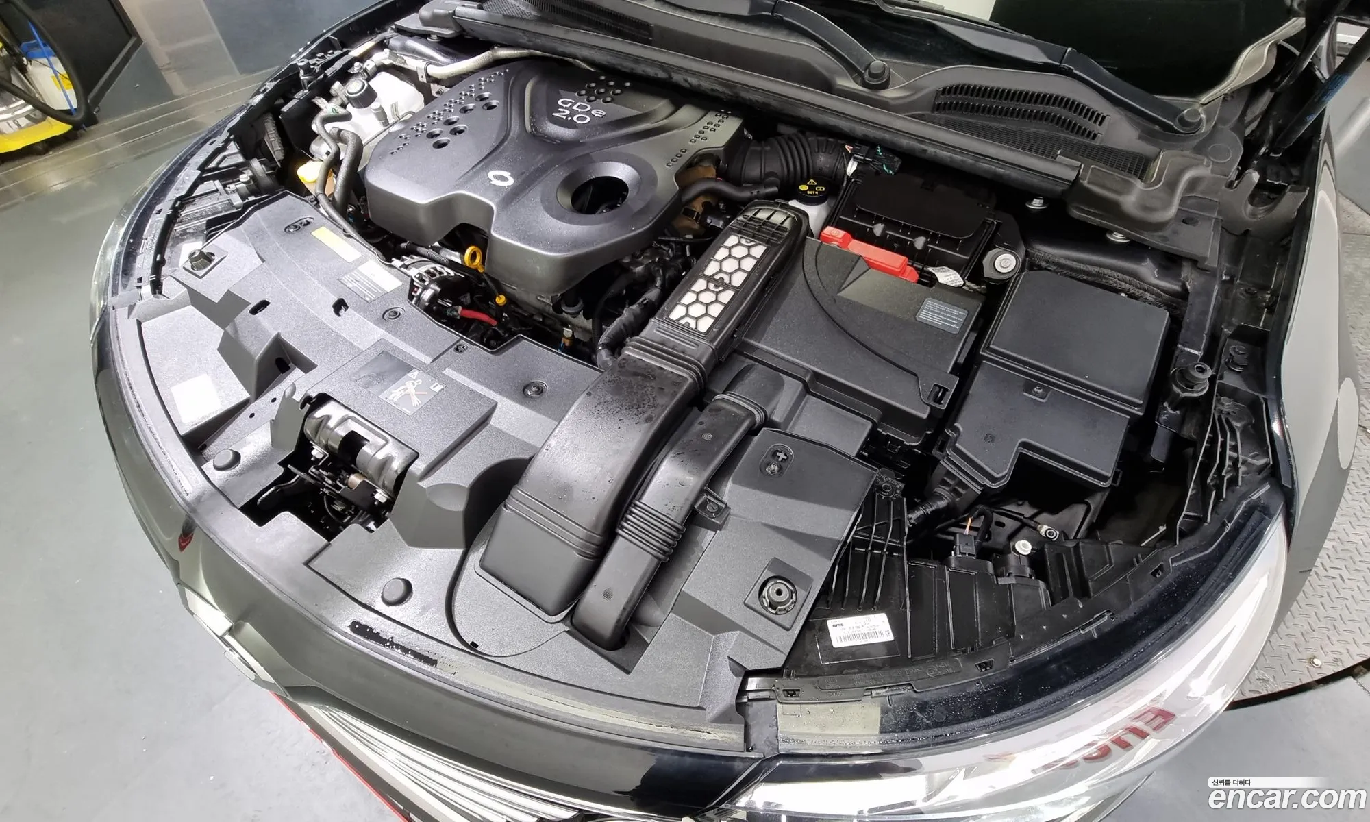 Renault Samsung Sm6 20Gde Le 2020 - фотография 1616969
