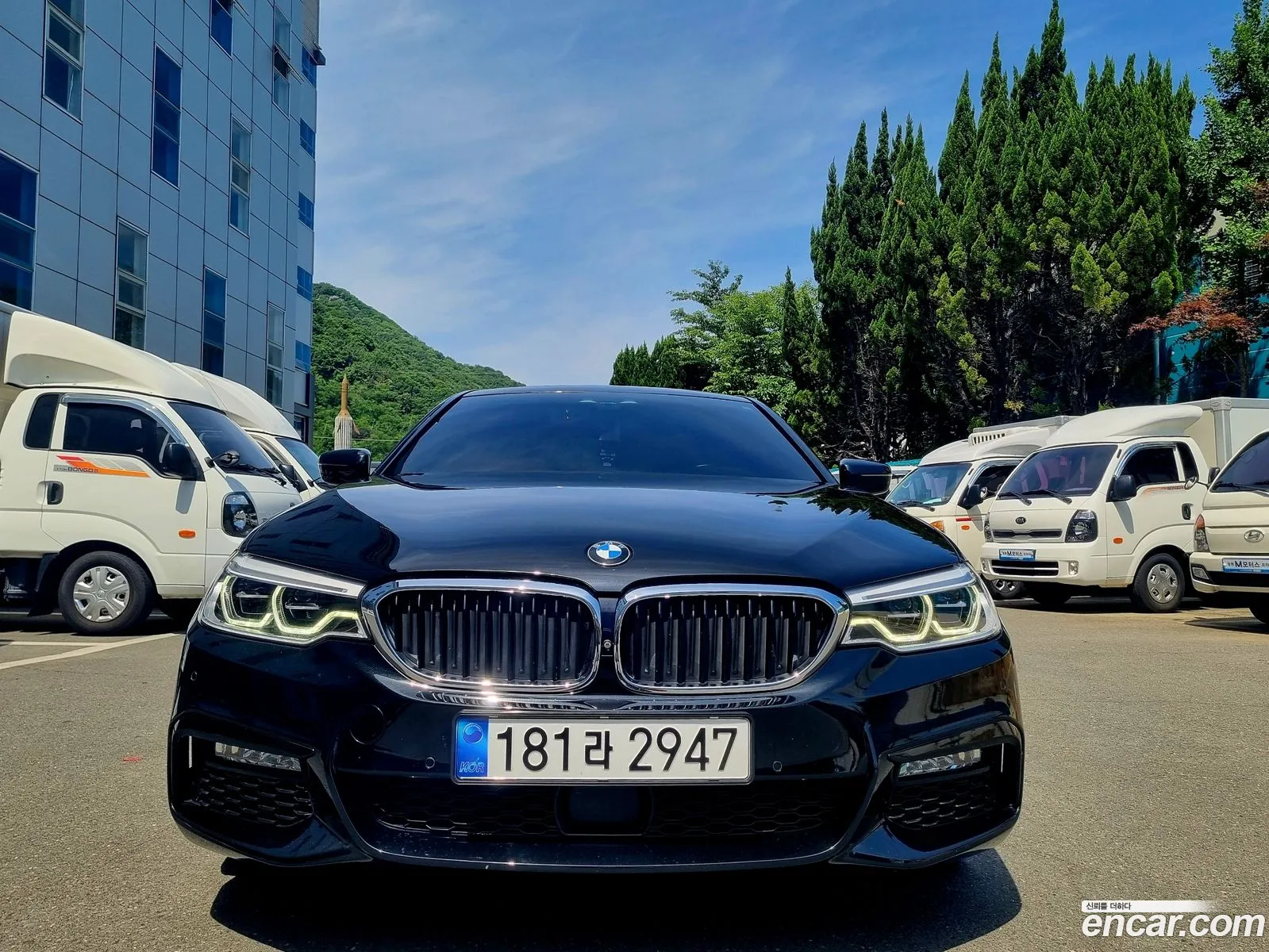 BMW 5Er Vii G30G31 530I M Sports Plus 2018 - фотография 15051055