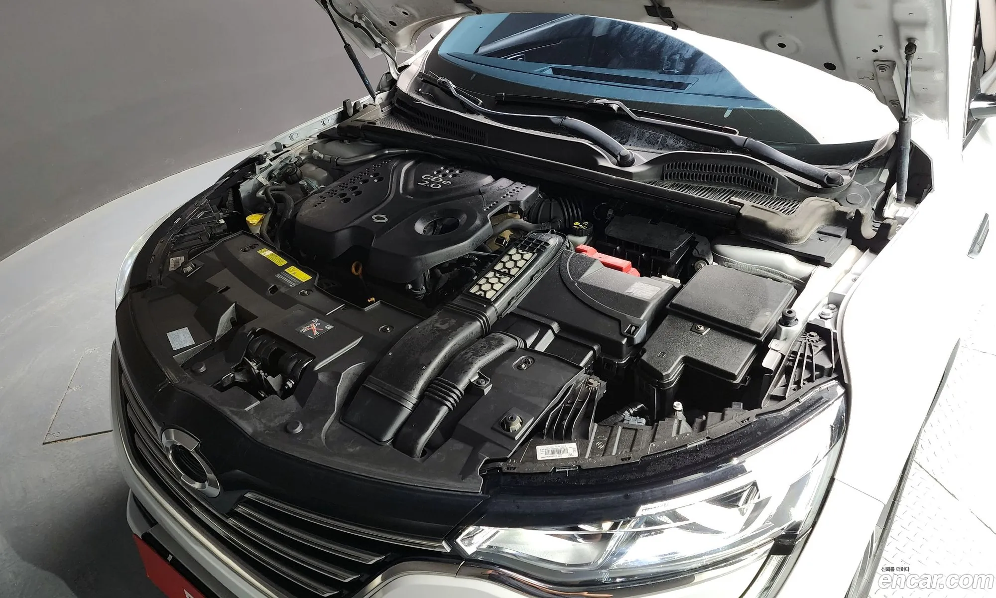 Renault Samsung Sm6 20Gdere 2019 - фотография 1554740