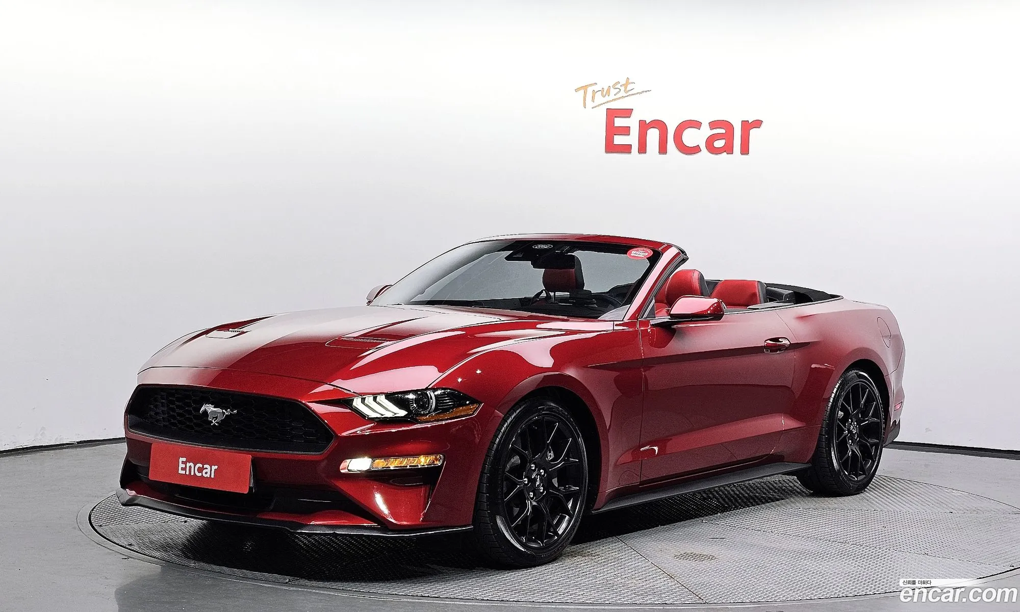 Mustang Converter - фотография 3928846
