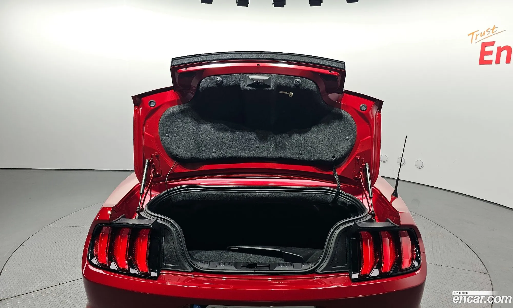 Mustang Converter - фотография 3928847