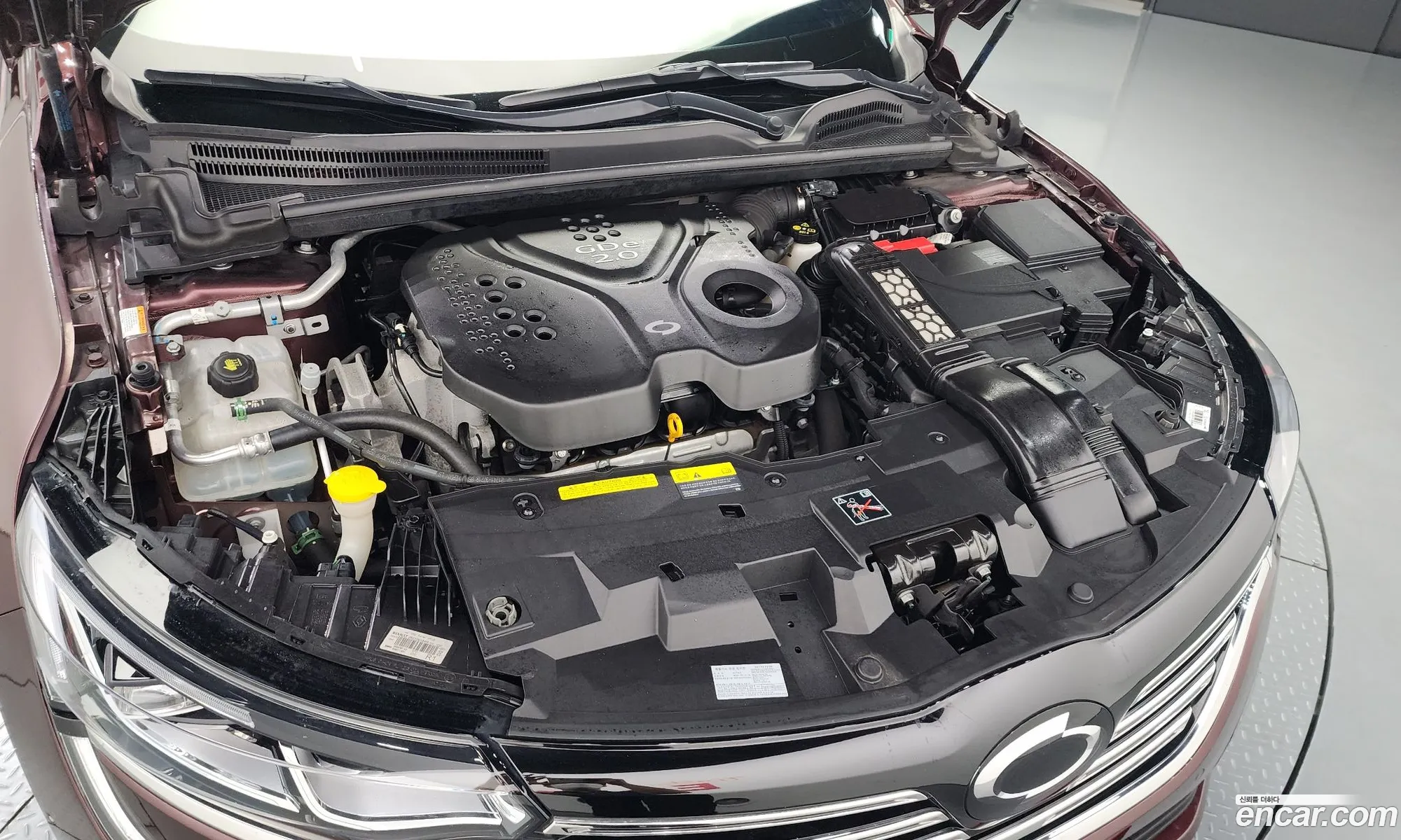 Renault Samsung Sm6 20Gde Le 2019 - фотография 1594838