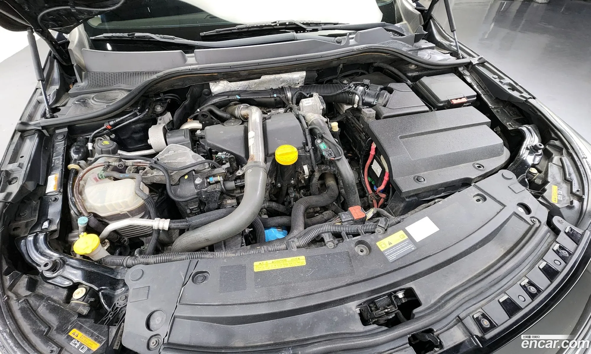 Renault Samsung Sm5 Diesel D Premium 2015 - фотография 1474742