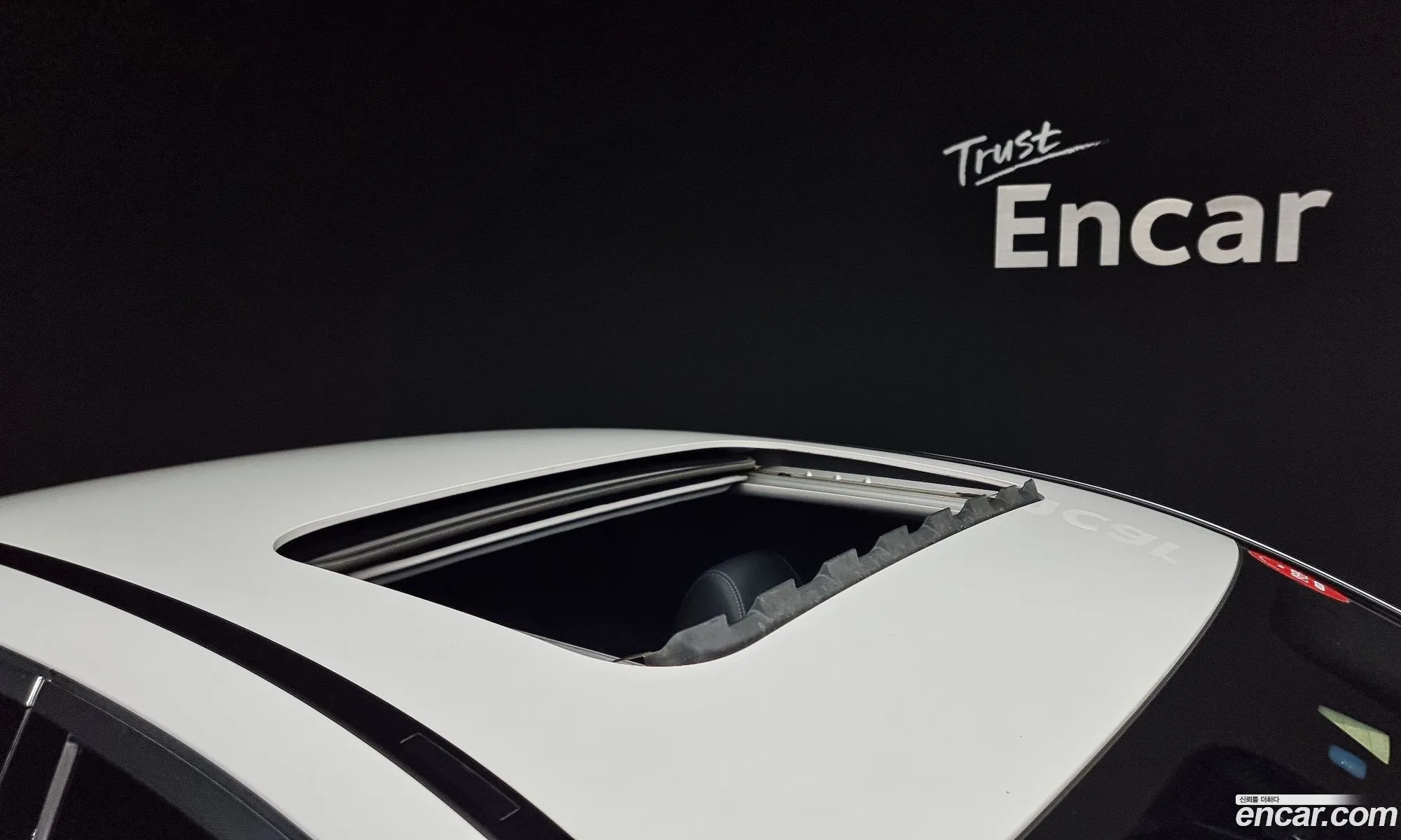 Korex Auto Trade - фотография 18021354