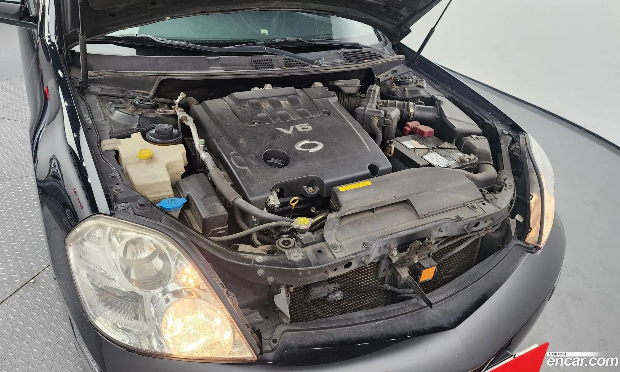 Renault Samsung Sm7 Sm7 Se 2007 - фотография 1614708
