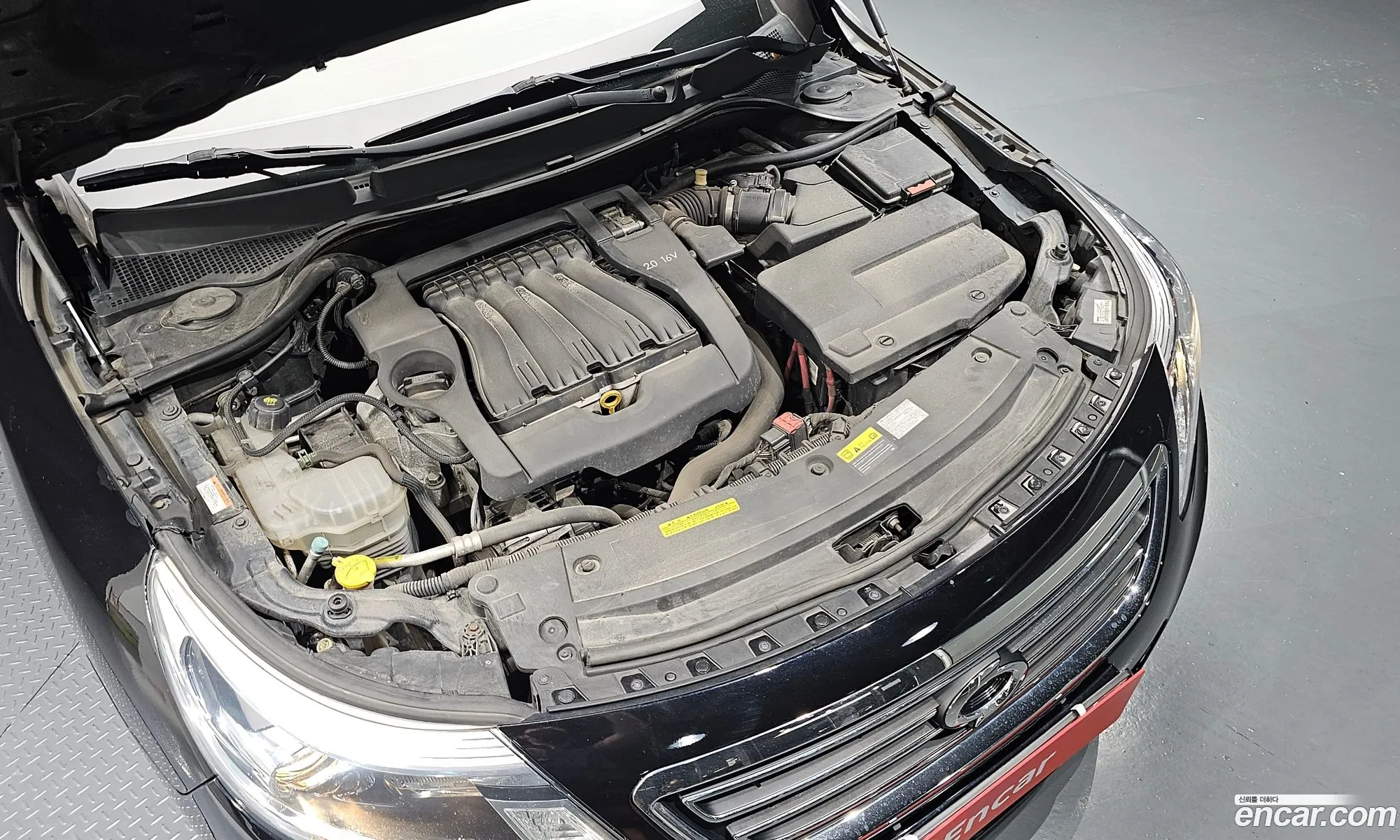 Renault Samsung Sm5 Le 2012 - фотография 1626100