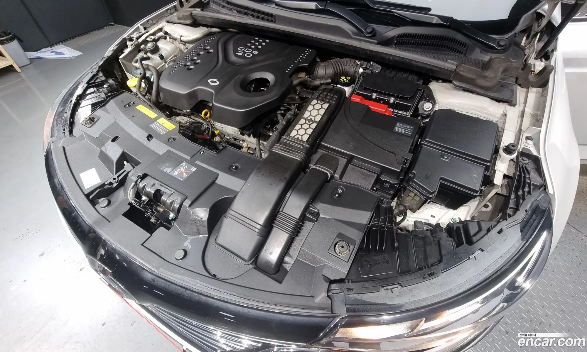 Renault Samsung Sm6 20Gdere 2016 - фотография 1594790