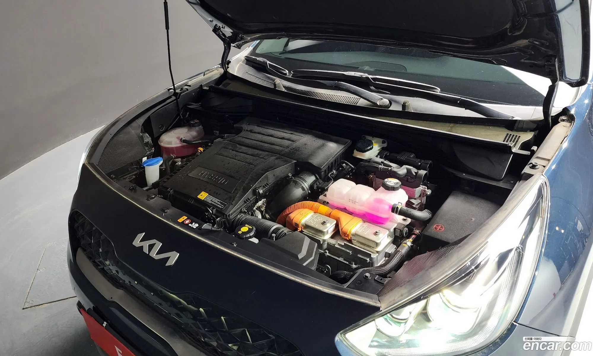 Kia Niro I 16 Hev 2022 - фотография 11814540