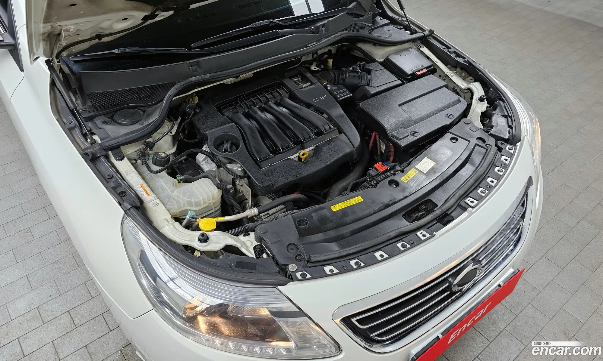 Renault Samsung Sm5 Le 2013 - фотография 1614732