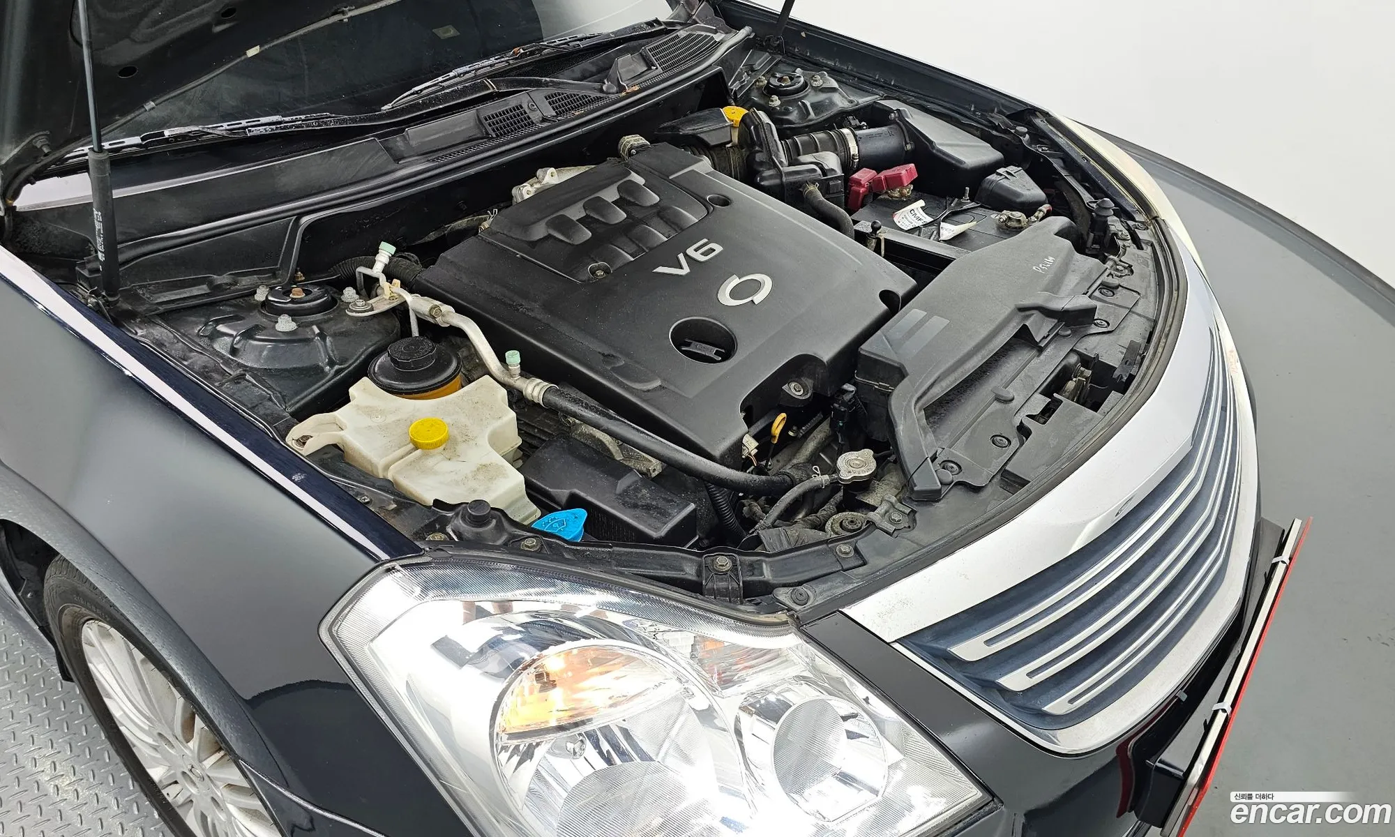 Renault Samsung Sm7 Sm7 Le 2008 - фотография 683457