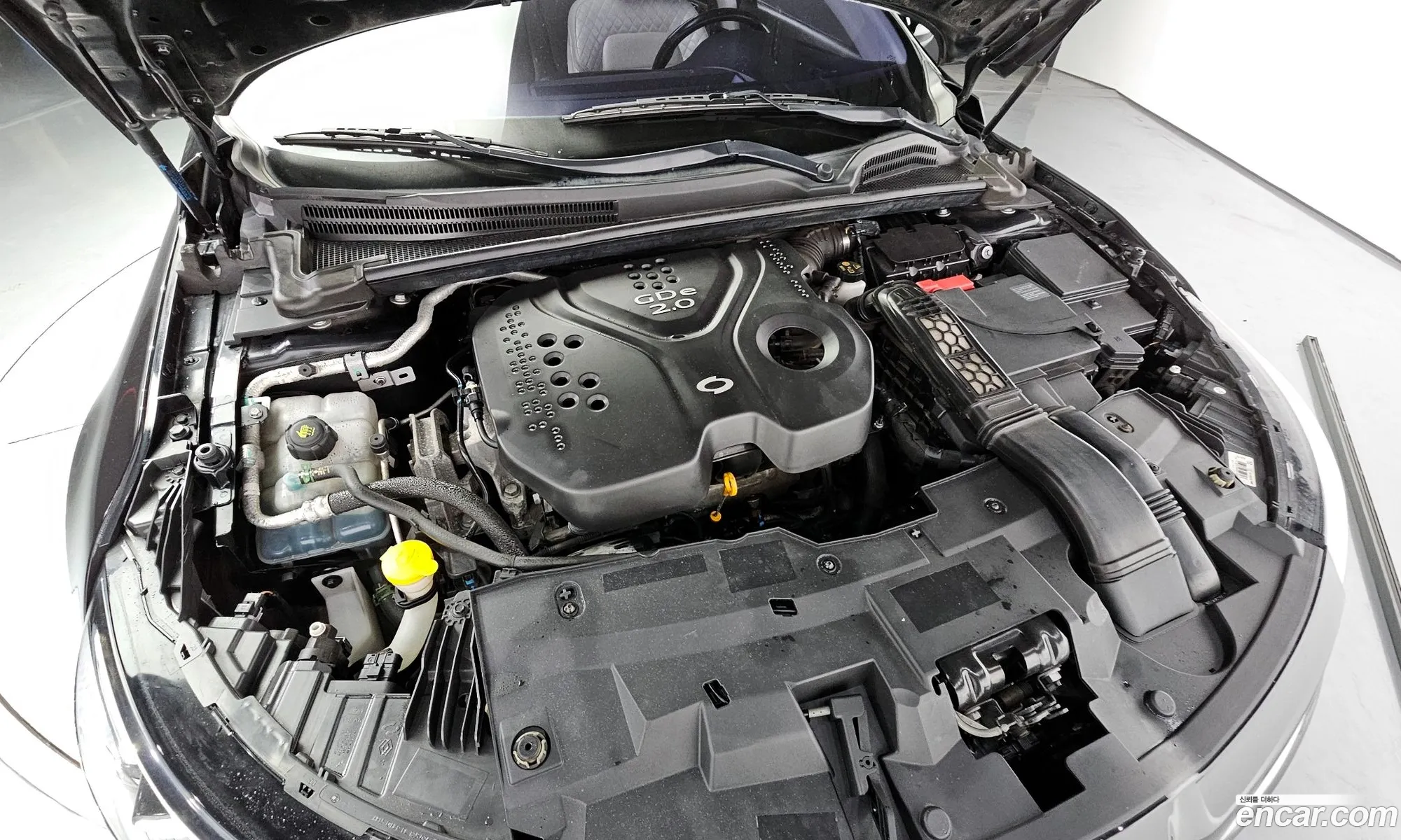 Renault Samsung Sm6 20Gdere 2016 - фотография 1612745