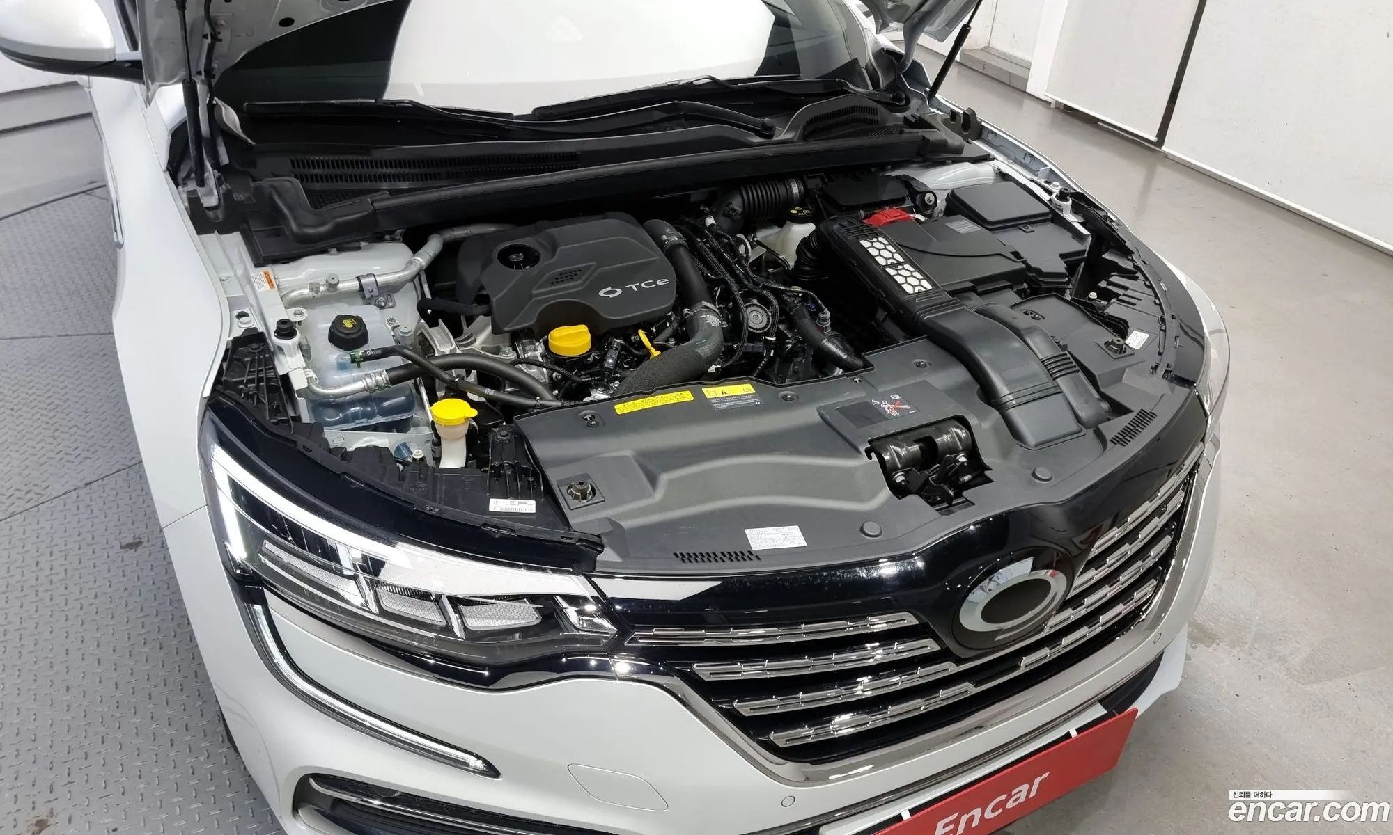 Renault Samsung Sm6 13 Tce Phil 2023 - фотография 1612757