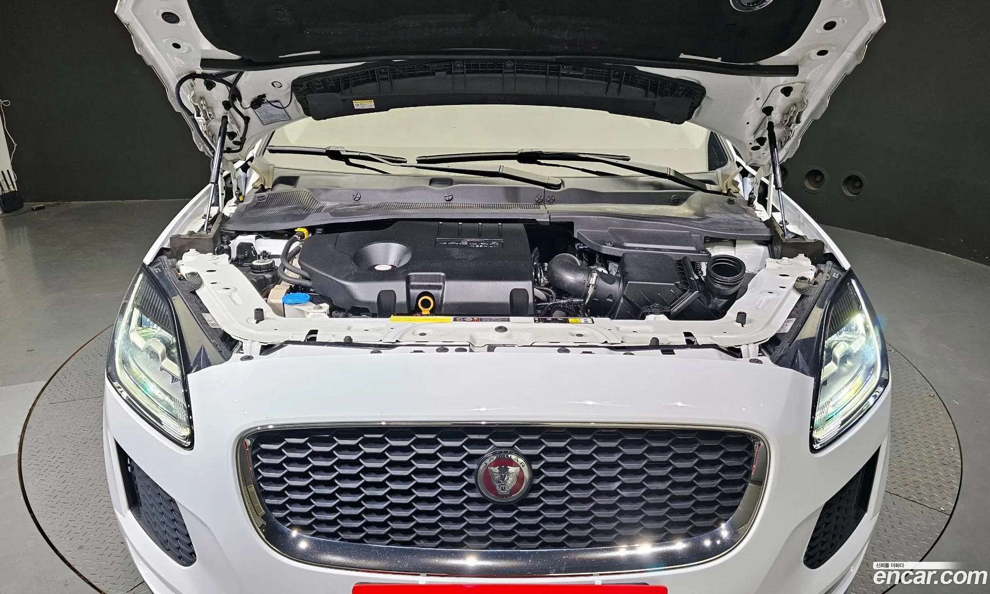 Jaguar E-Pace I D180Se 2020 - фотография 3500326