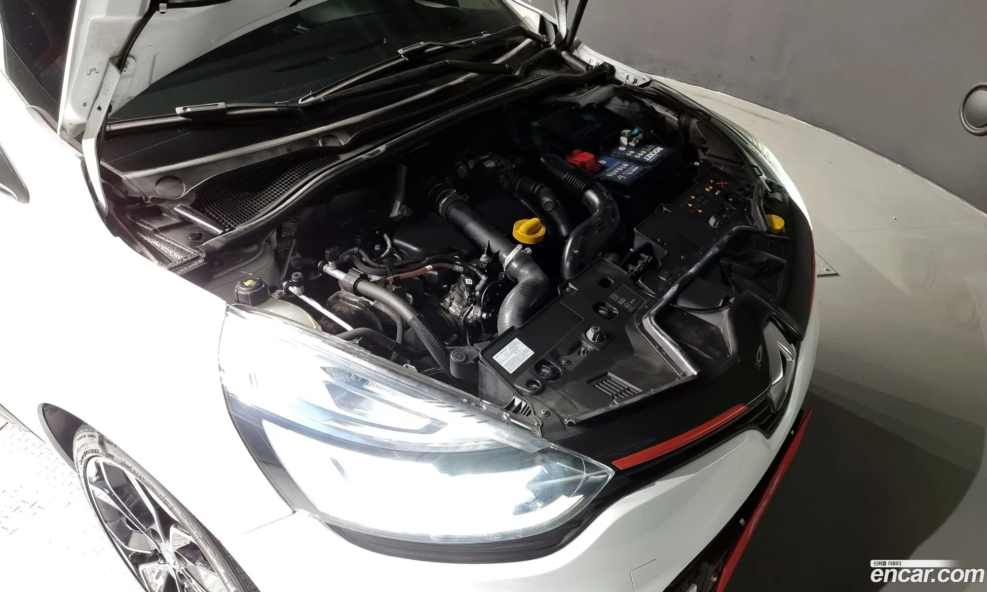 Renault Samsung Clio Intense Panoramic 2019 - фотография 1580316