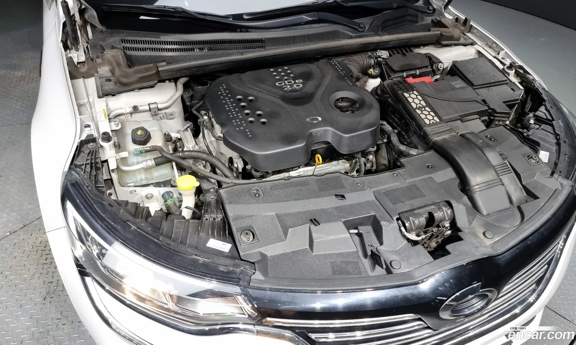 Renault Samsung Sm6 20Gdere 2016 - фотография 1420026