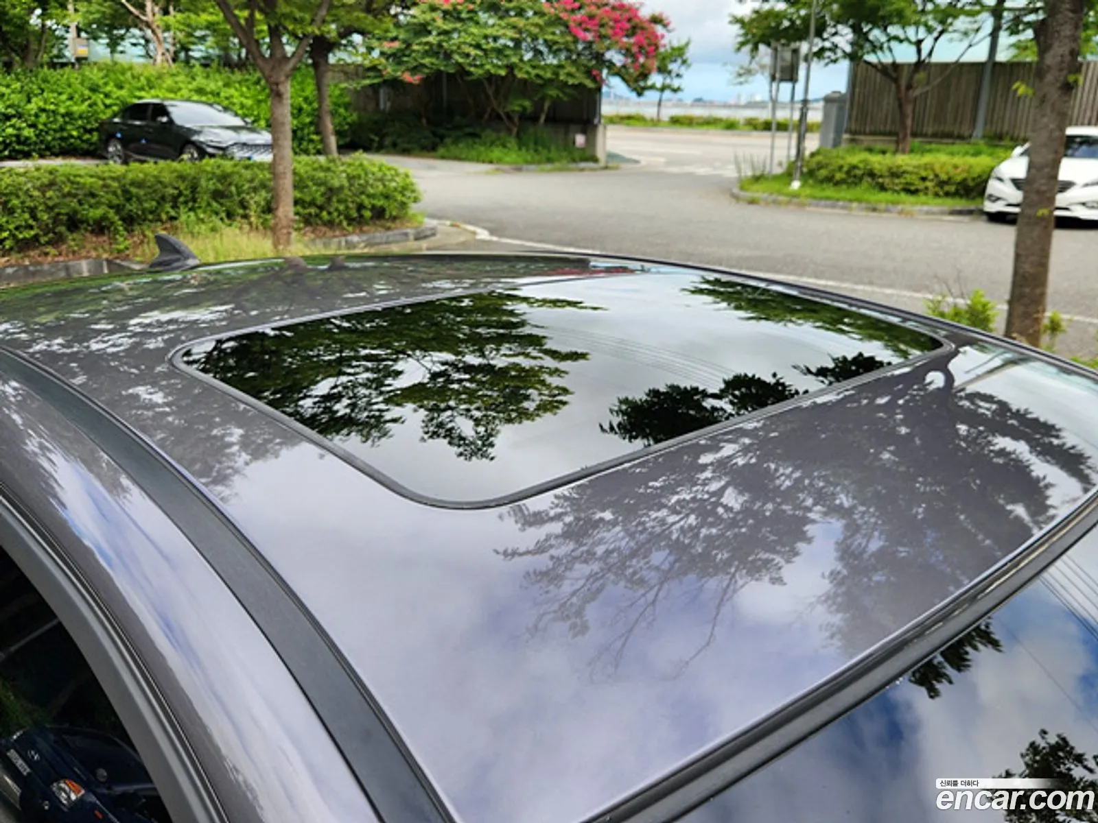 Korex Auto Trade - фотография 18925885