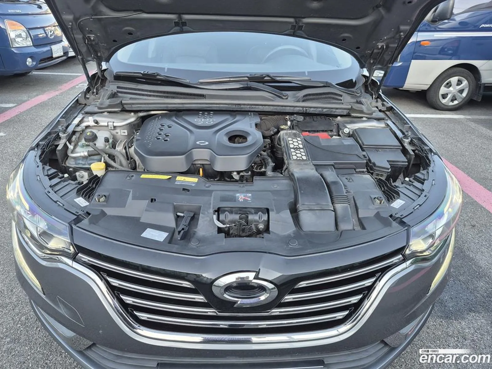 Renault Samsung Sm6 20Gdere 2016 - фотография 1534325