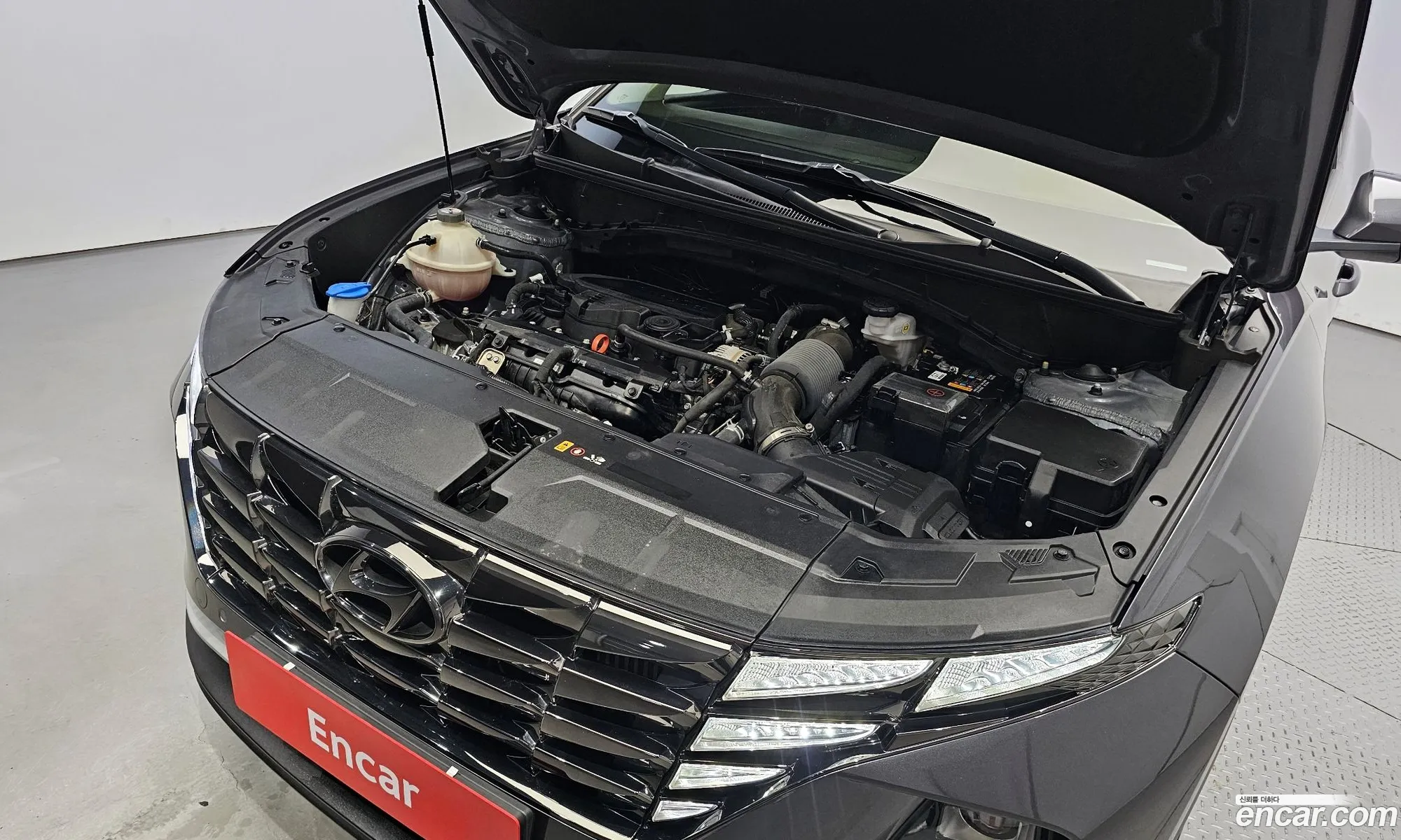 Hyundai Tucson Iv Gasoline 16 Turbo 2Wd 2022 - фотография 17113889