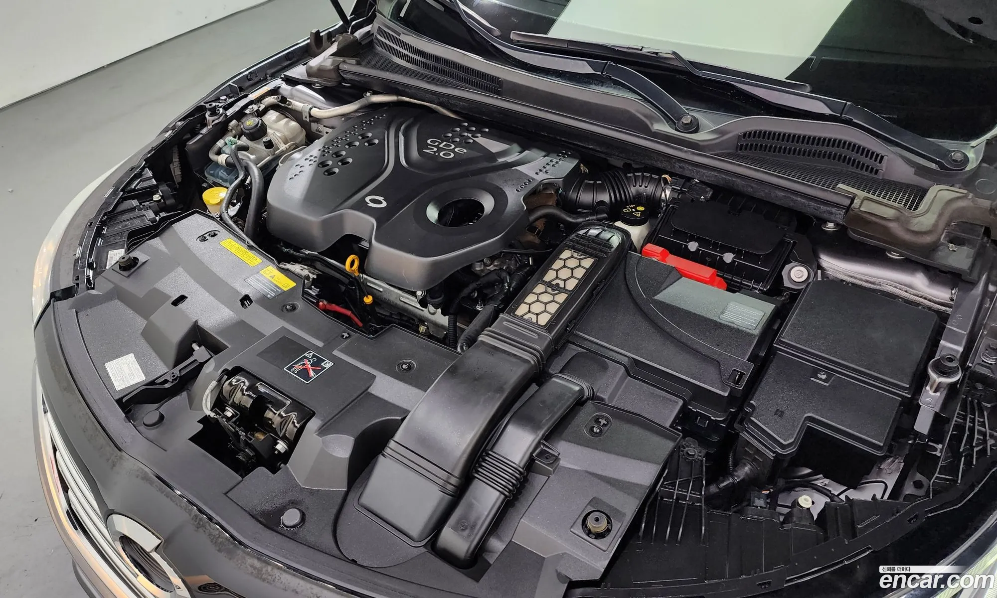 Renault Samsung Sm6 20Gde Se 2016 - фотография 1300631