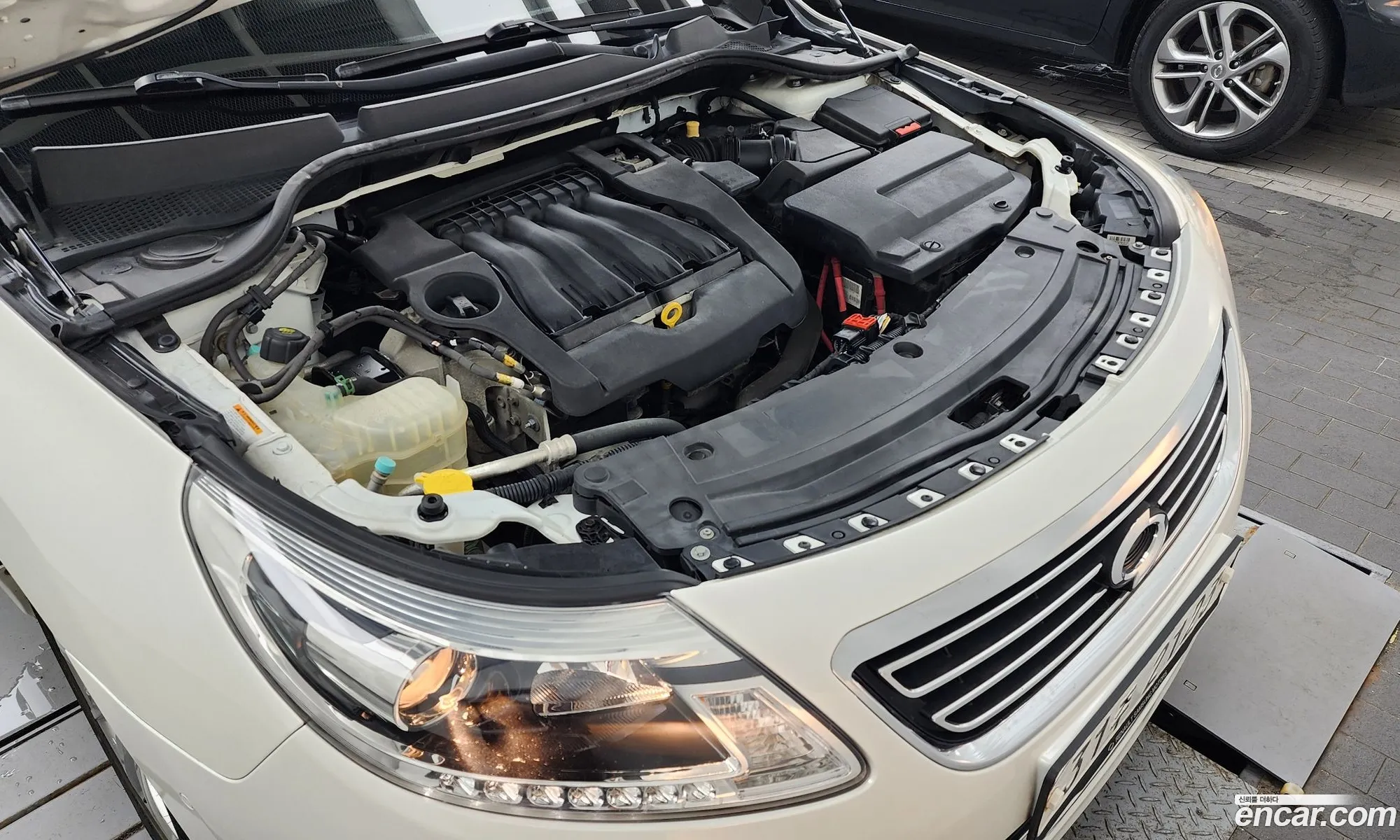 Renault Samsung Sm5 Lpli Le 2014 - фотография 1256383