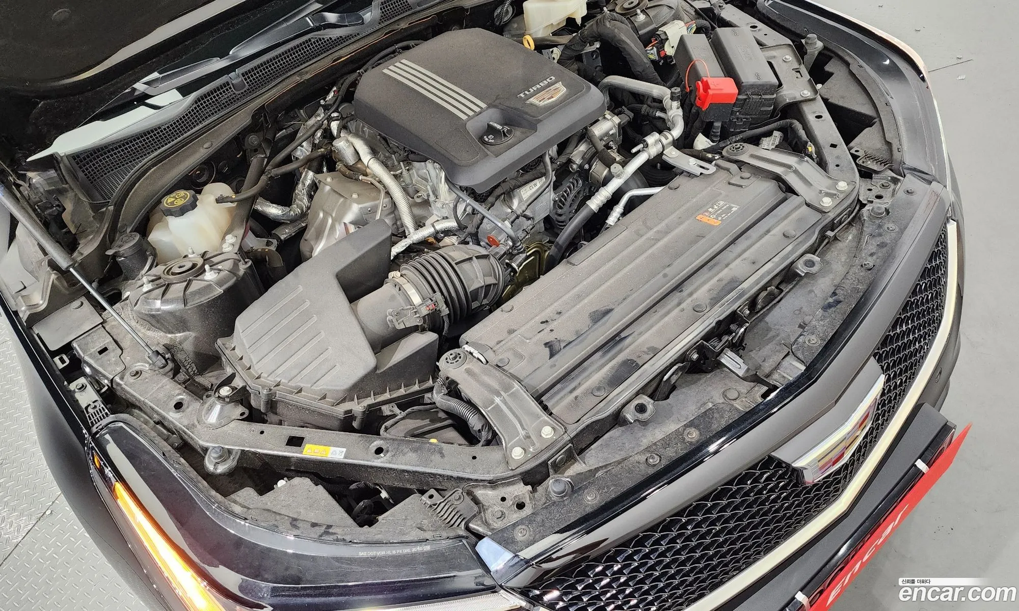 Cadillac Ct4 I 20 Sports 2020 - фотография 4544440