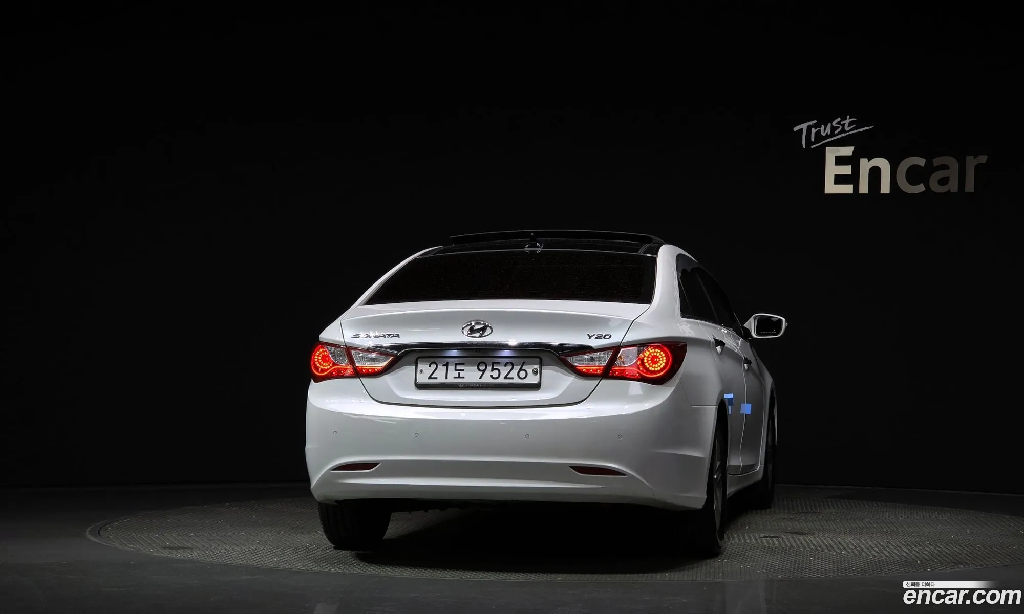 Hyundai Sonata Y20 Top 2010 - фотография 17122676