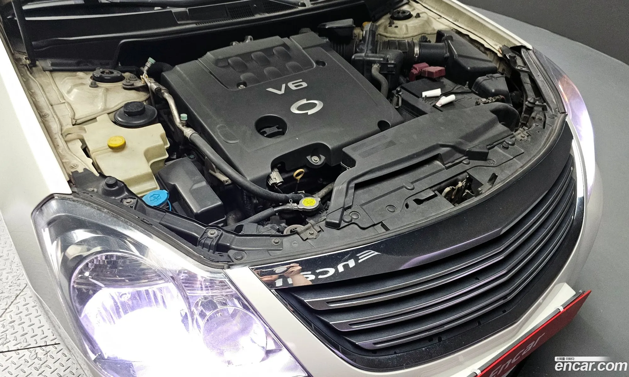 Renault Samsung Sm7 Sm7 Prestige 2009 - фотография 1323969