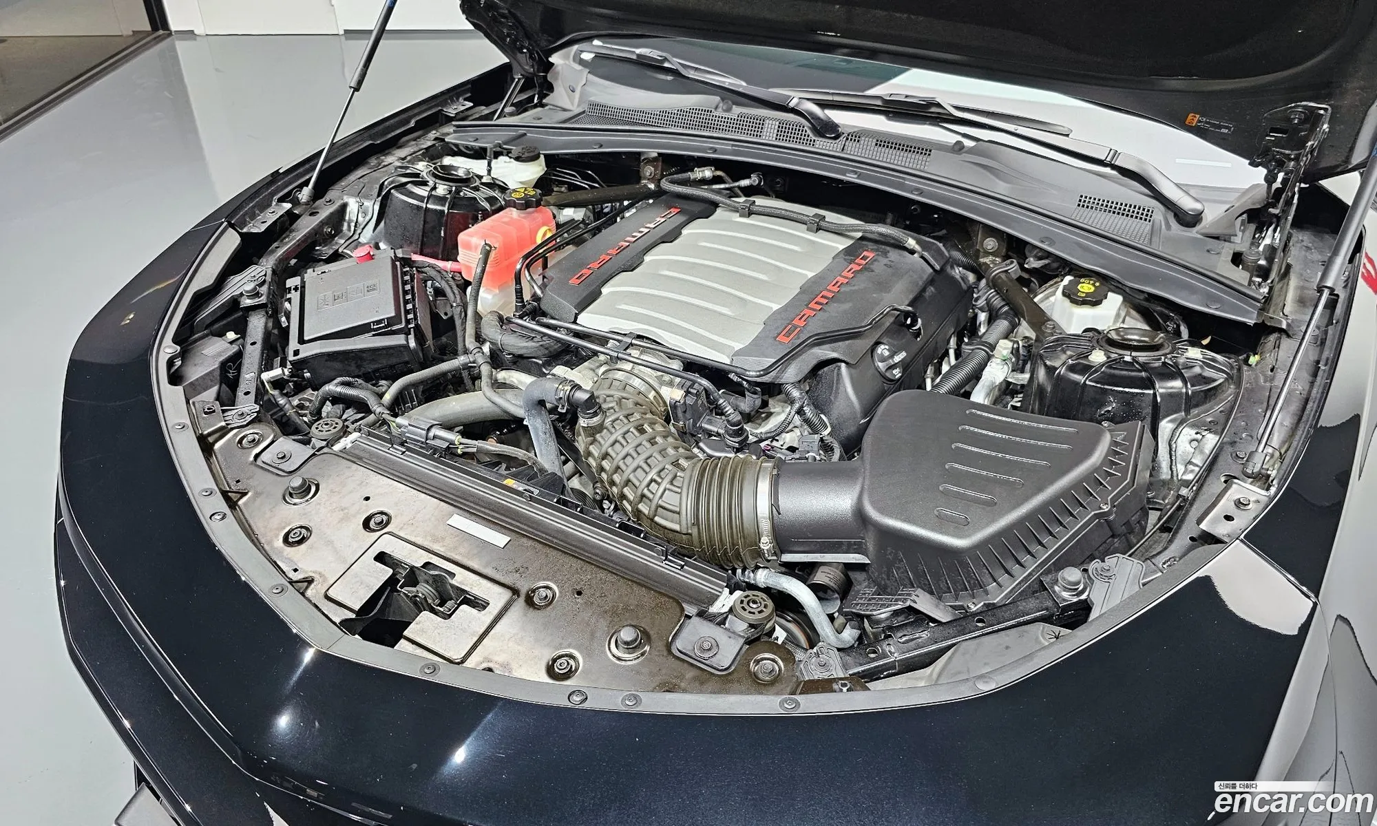 Chevrolet Camaro Vi Ss 62 V8 2019 - фотография 18435228