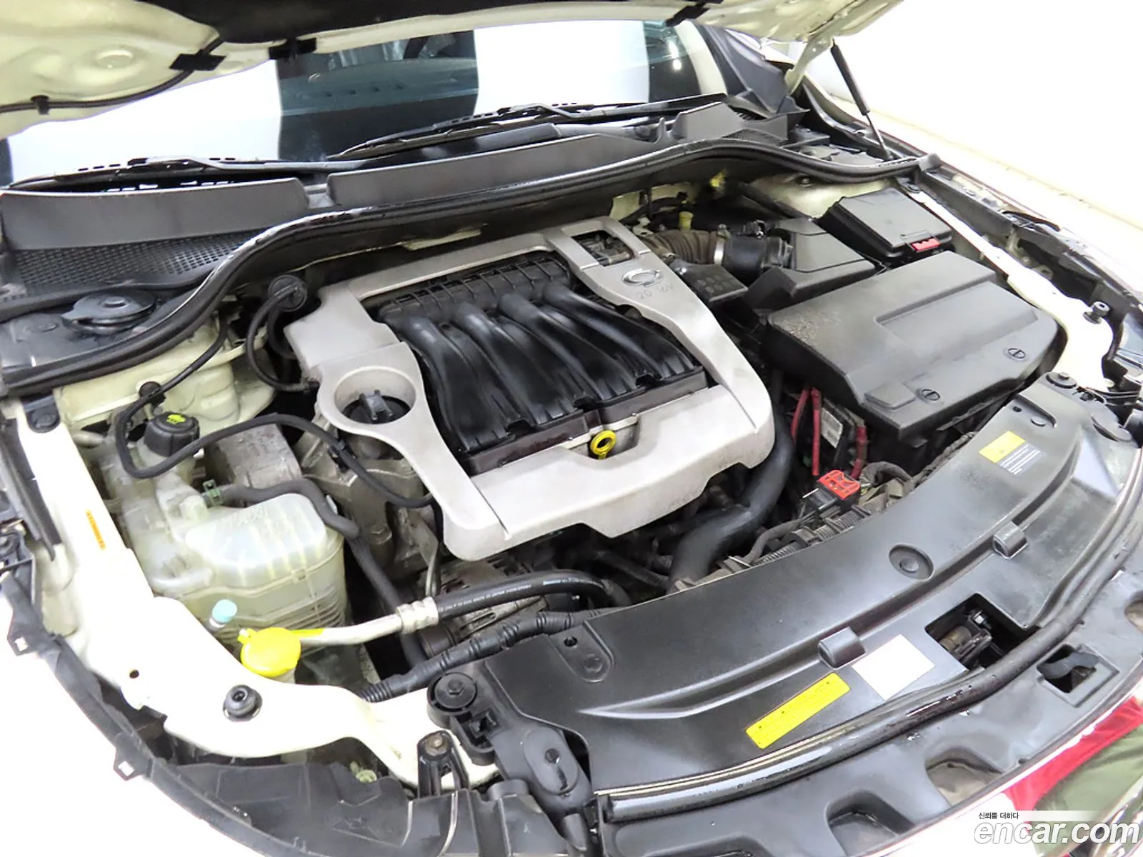 Renault Samsung Sm5 Ii Se 2010 - фотография 683493