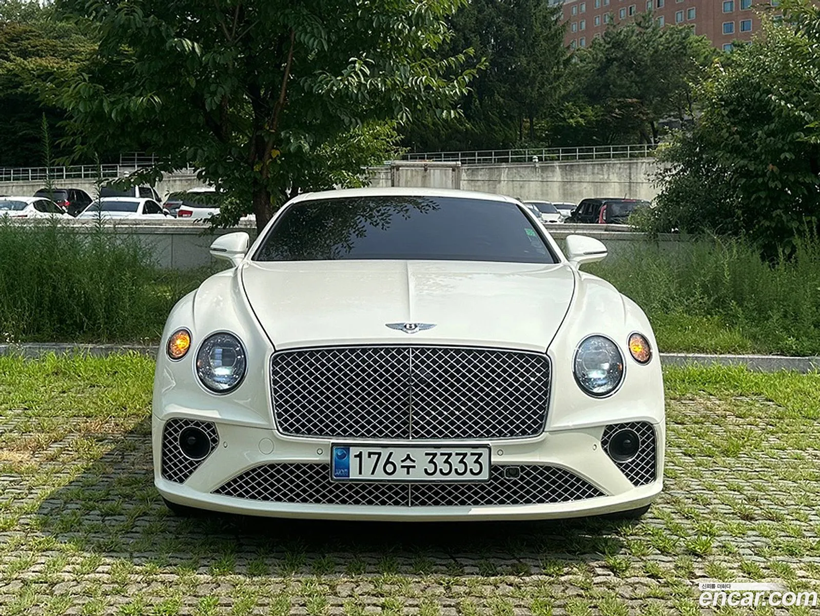 Bentley Continental 40 Gt 2020 - фотография 3928082