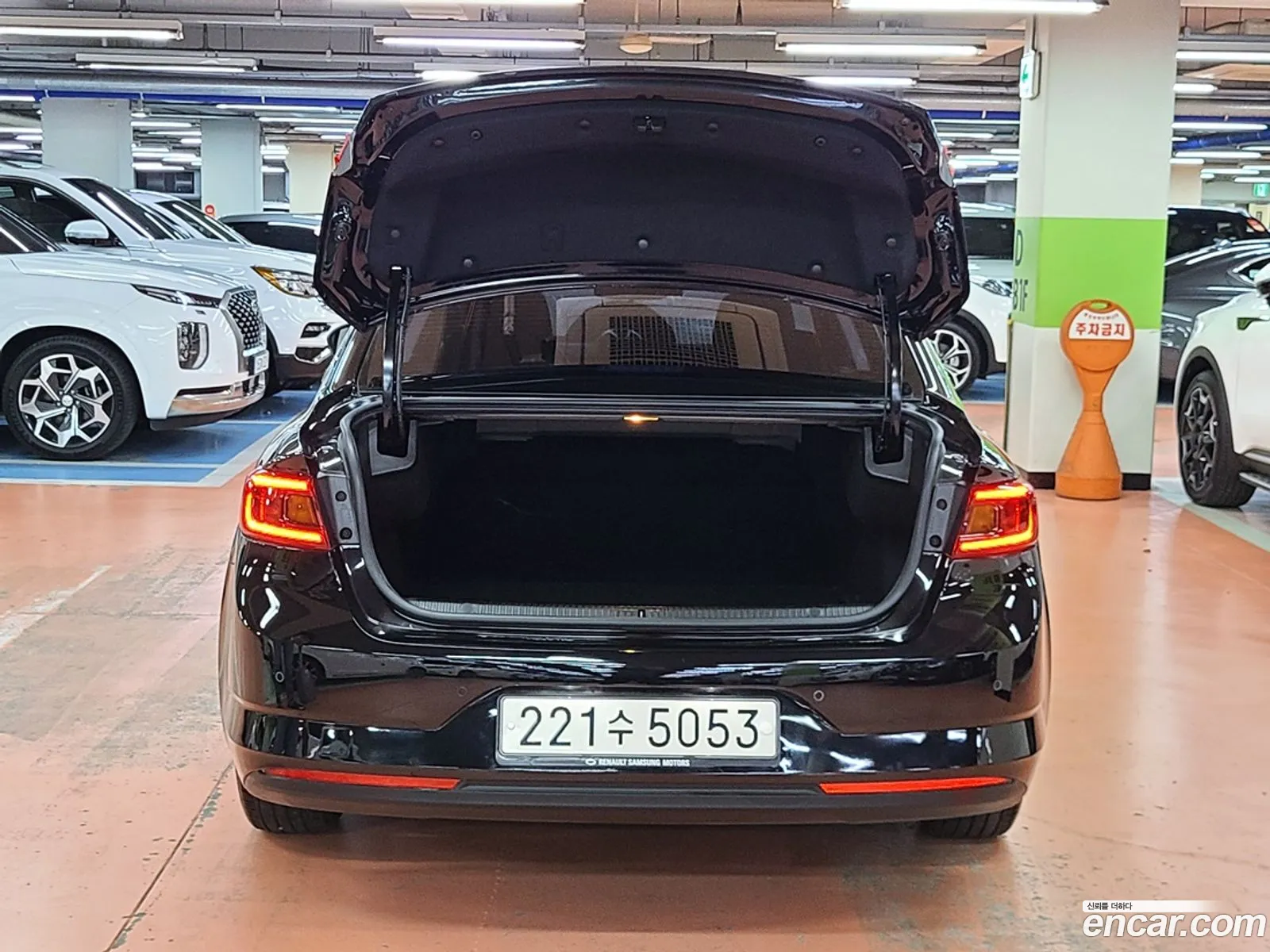Renault Samsung Sm6 20Gdepe 2019 - фотография 1323210