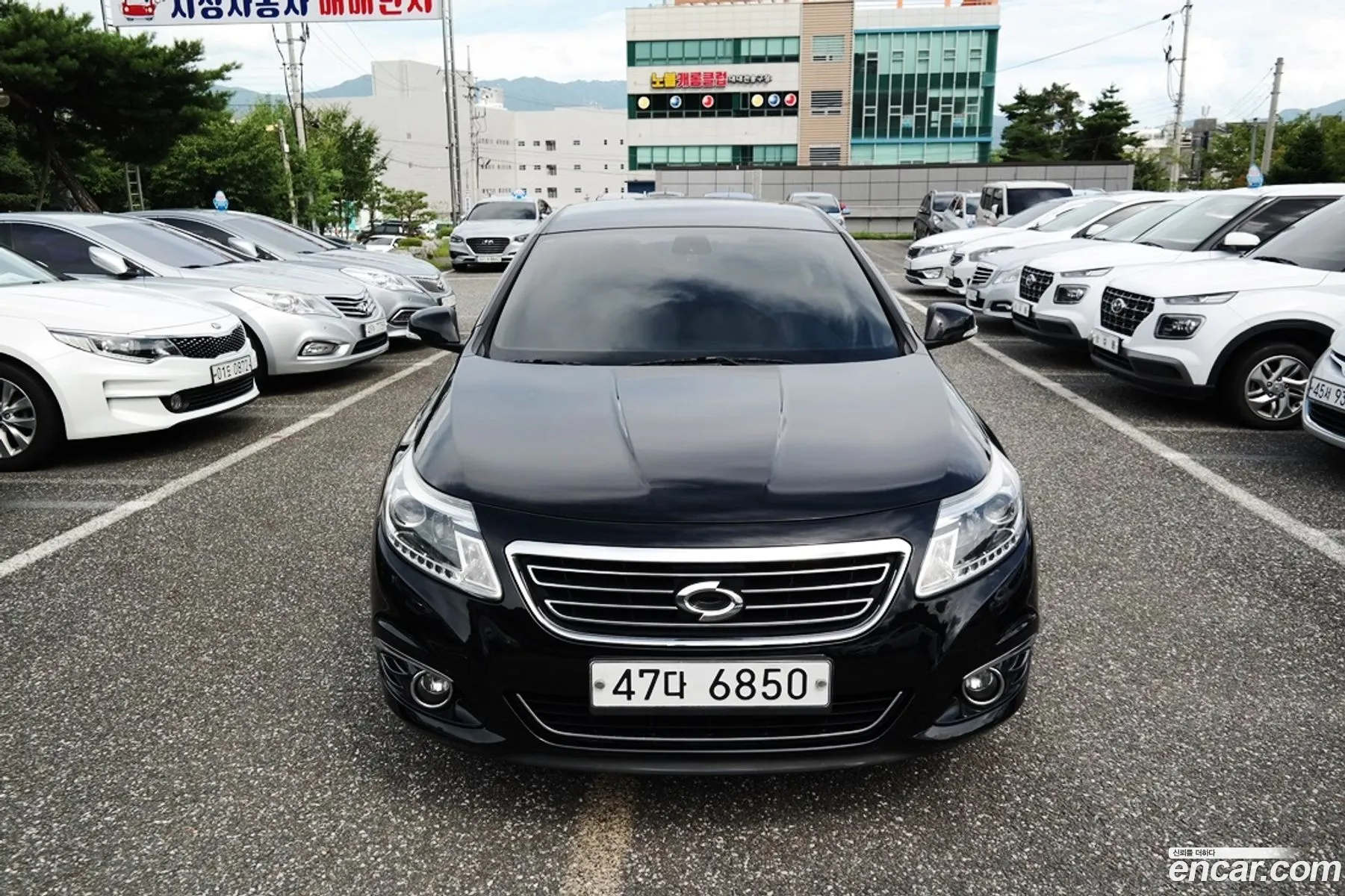 Renault Korea Samsung New Sm5 Platinum Se Plus - фотография 12457967