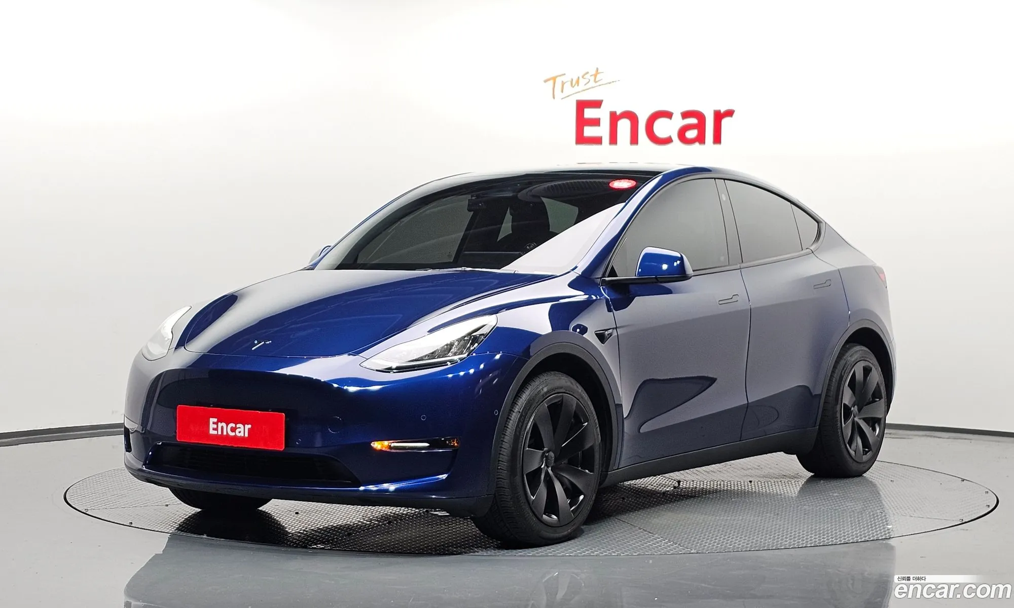 Tesla Model Y I Long Range 2022 - фотография 3514604
