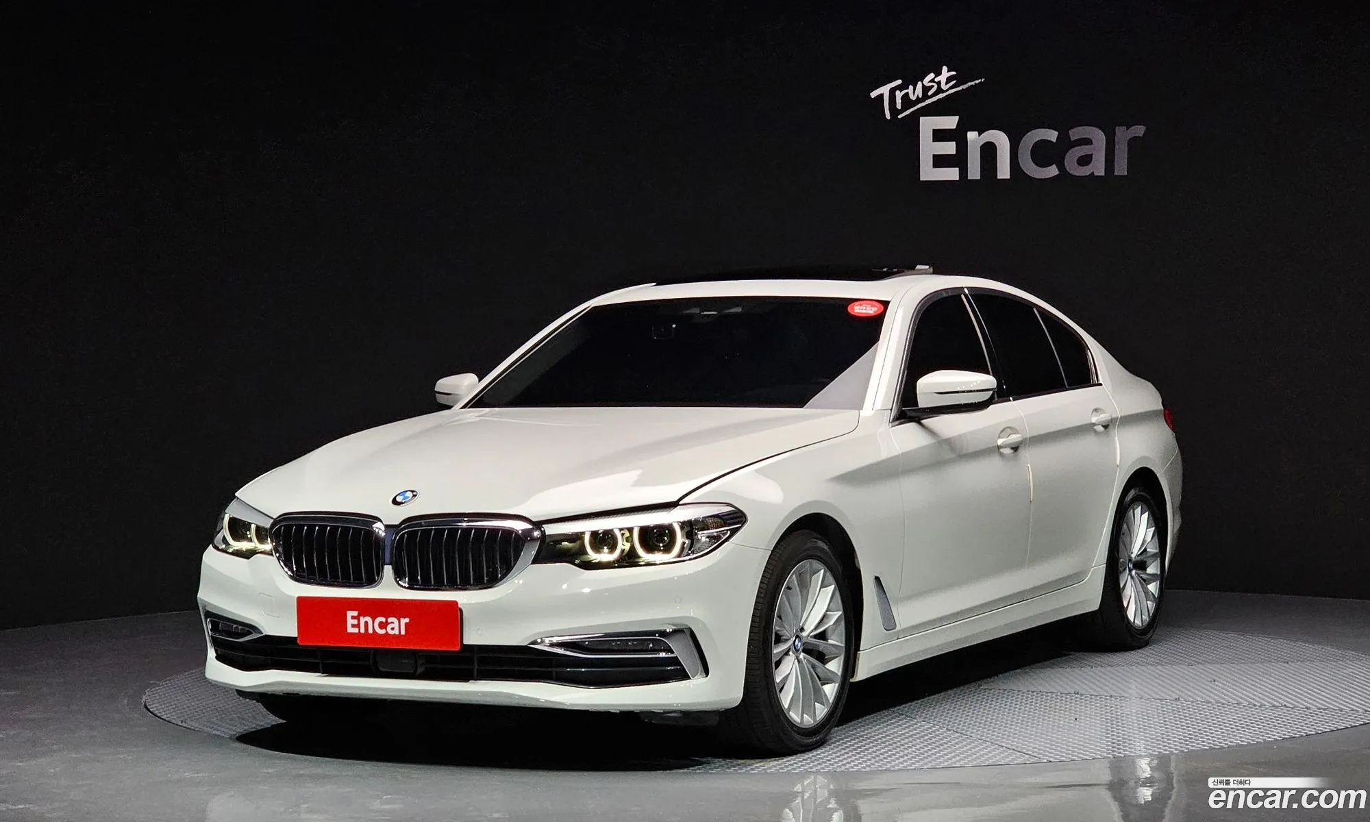 BMW 5 Series G30 530I Luxury Plus - фотография 14779899