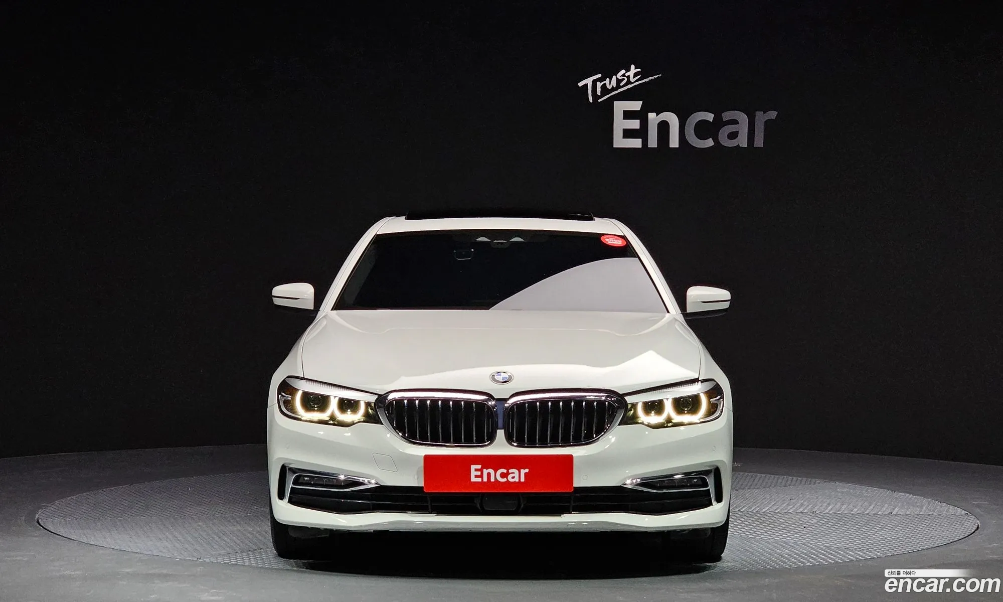 BMW 5 Series G30 530I Luxury Plus - фотография 14779901