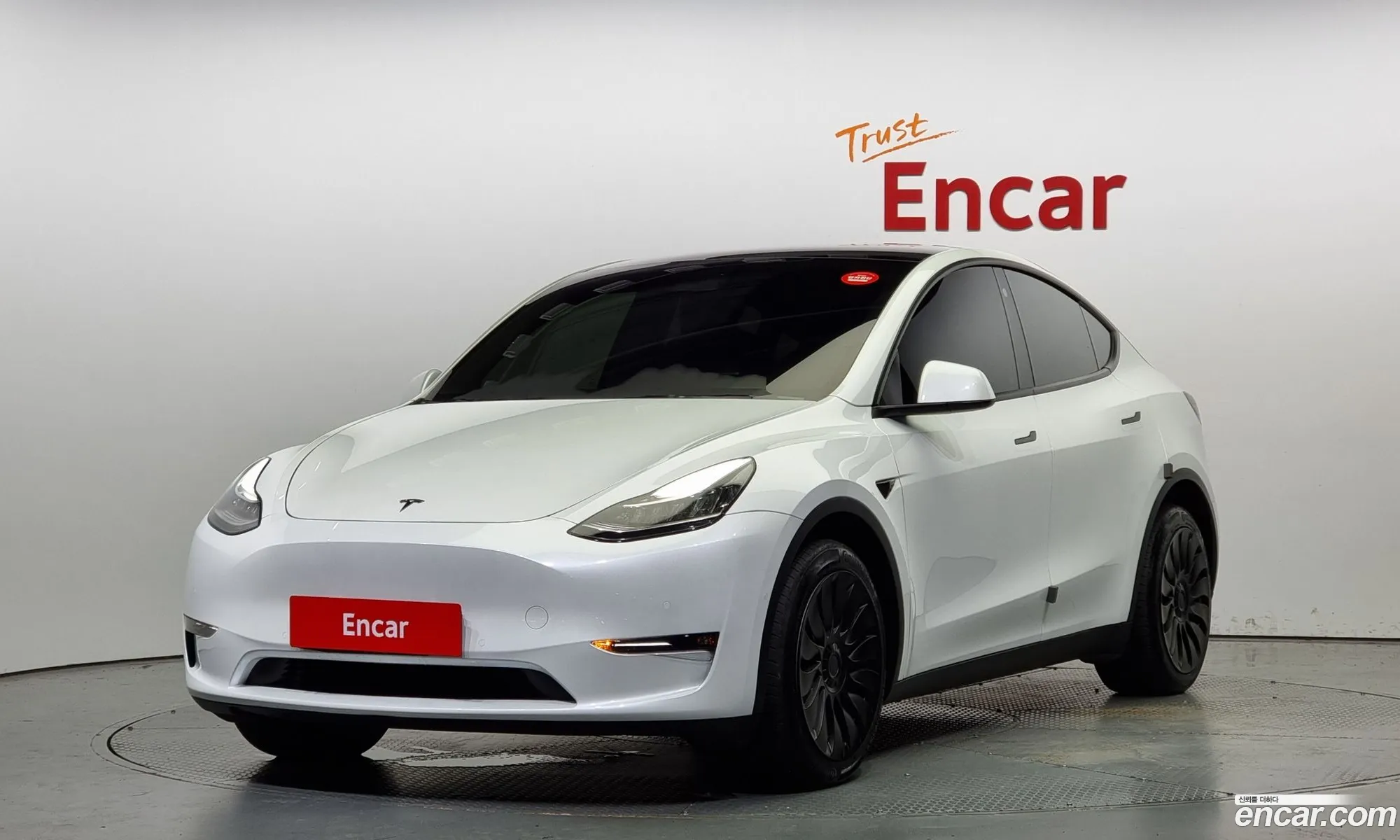 Tesla Model Y Long Range - фотография 3514616