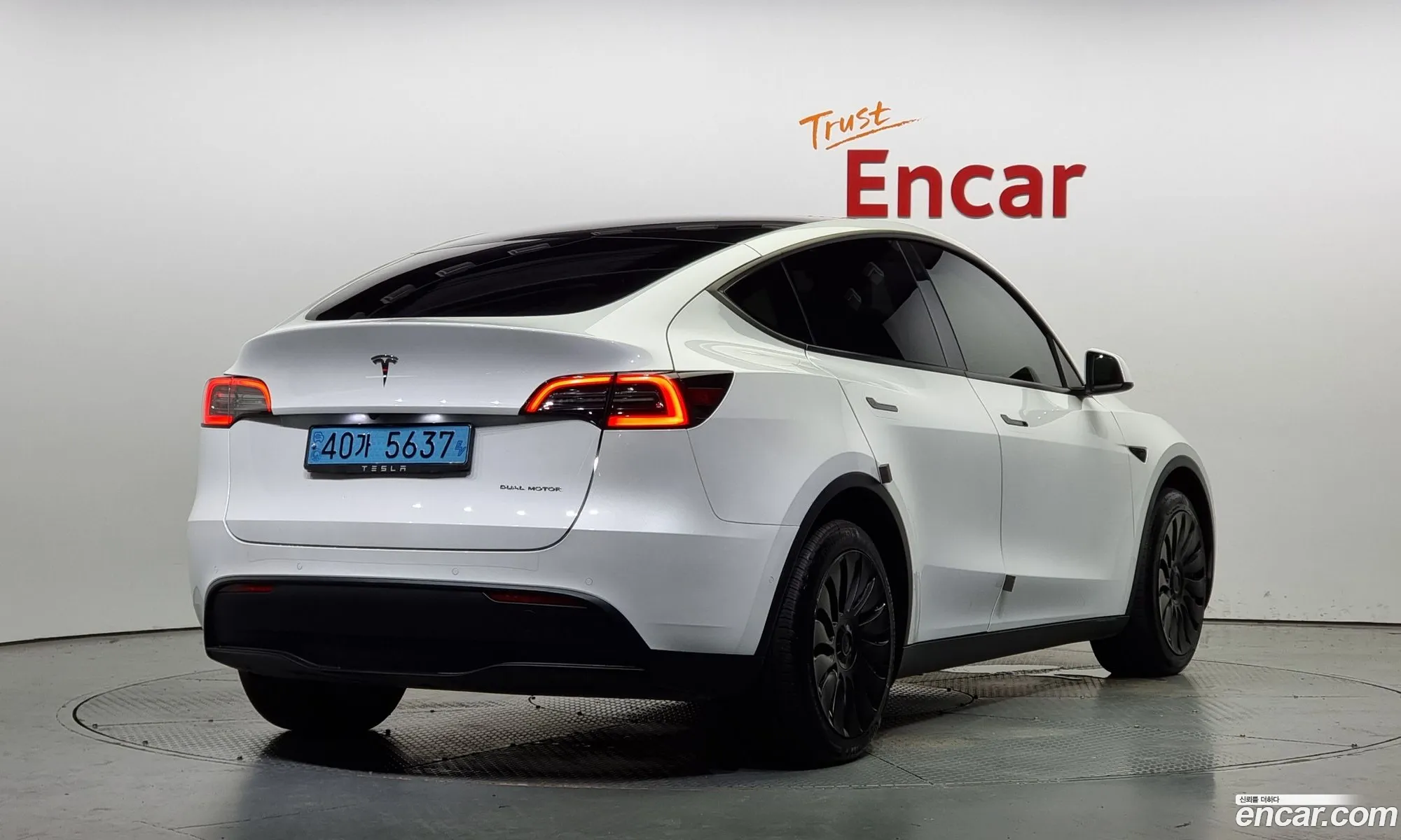 Tesla Model Y Long Range - фотография 3514617