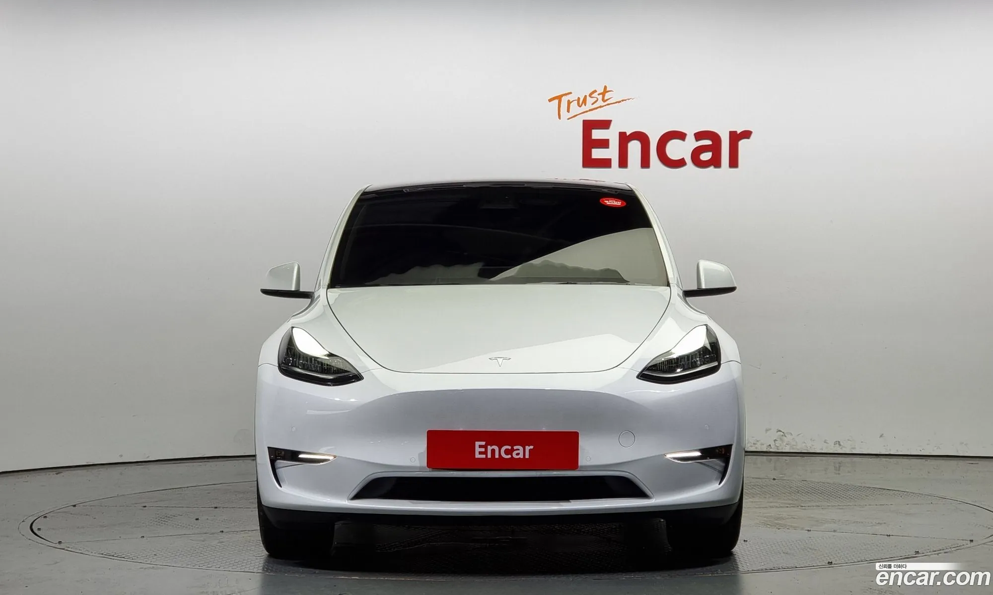 Tesla Model Y Long Range - фотография 3514619
