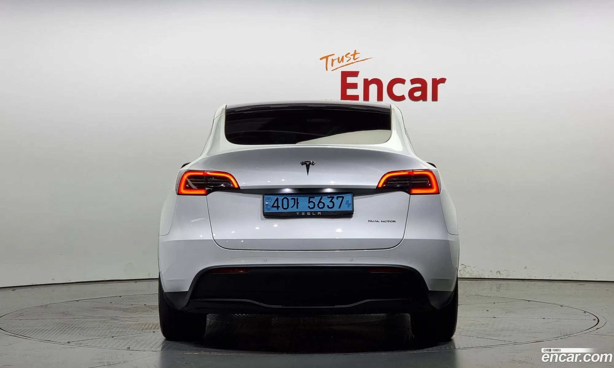 Tesla Model Y Long Range - фотография 3514621