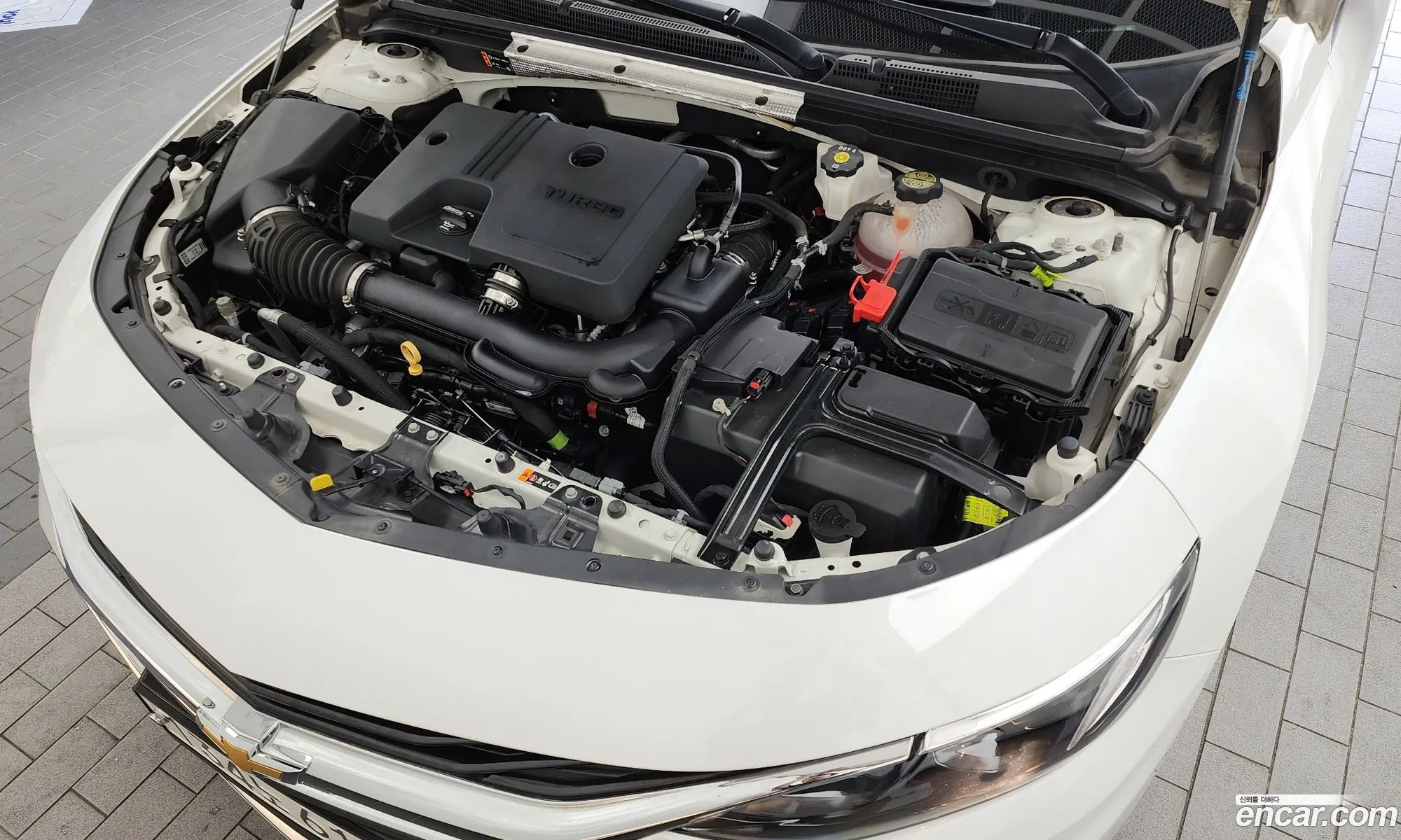 Chevrolet Malibu Ix 13 Turbo Premier 2020 - фотография 4912884